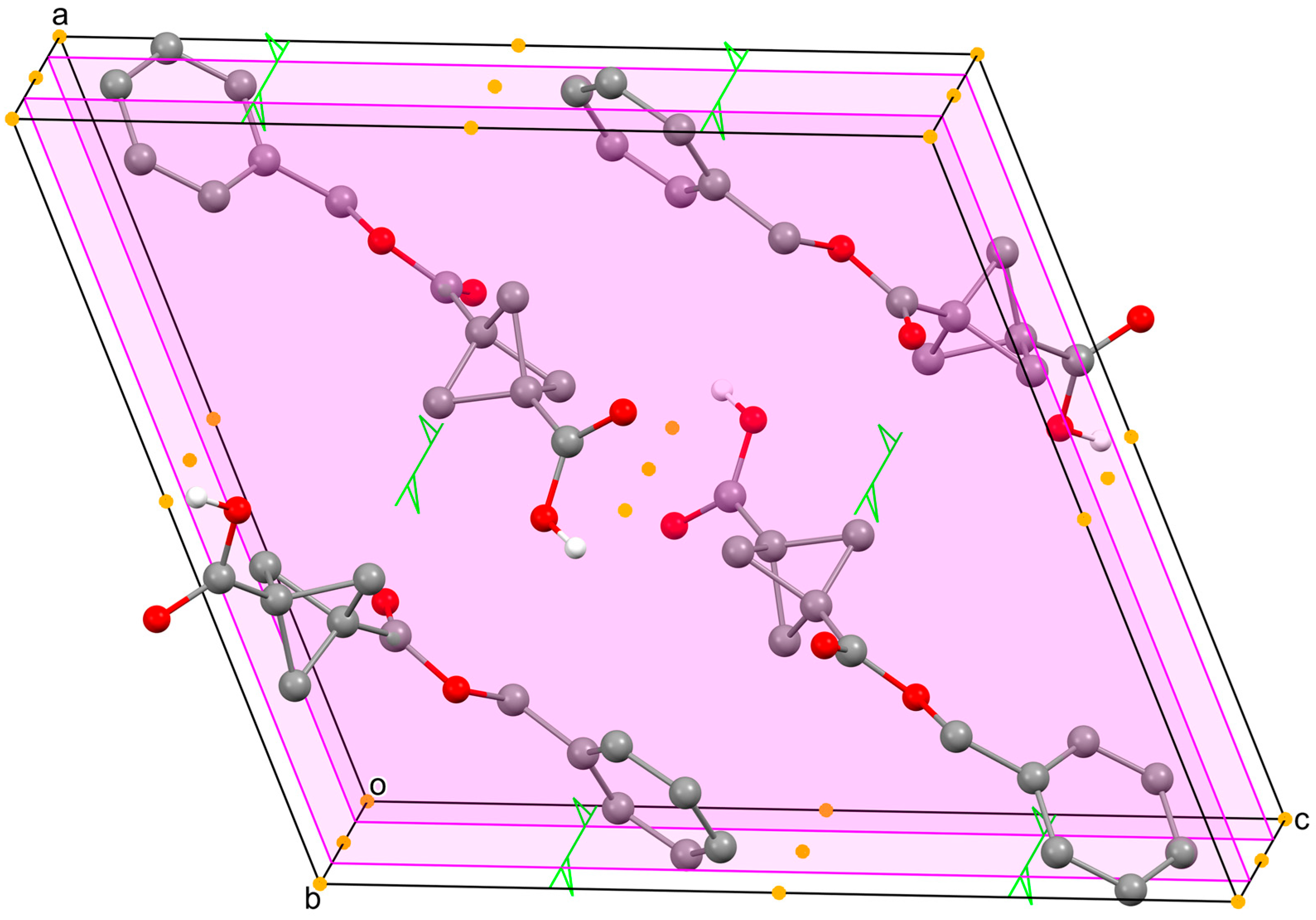 Molbank 2025 m2075 g002