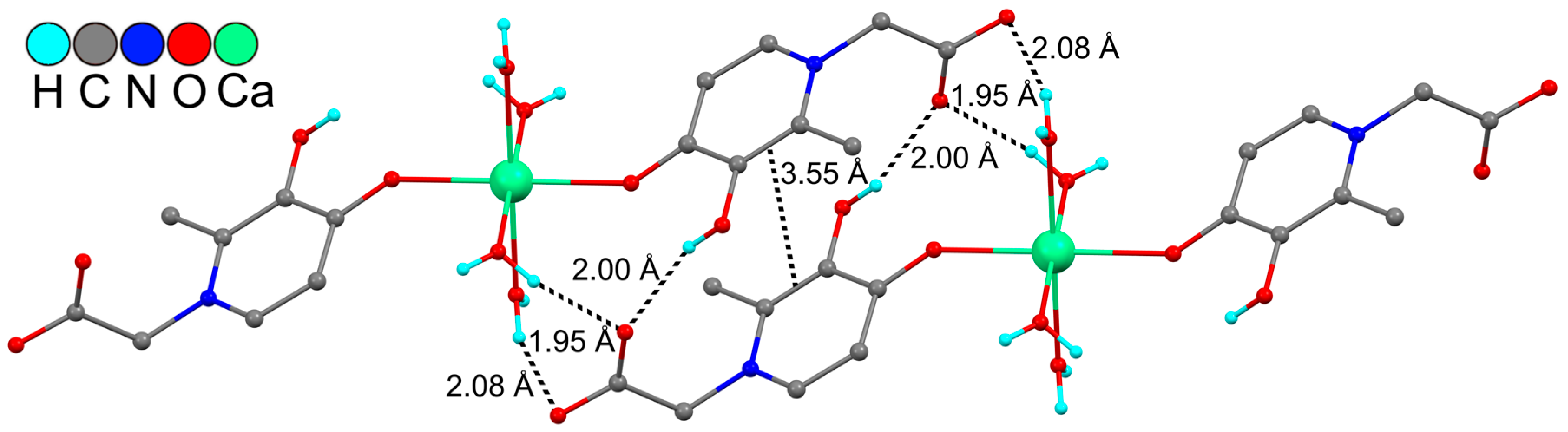 Molbank 2025 m2080 g002