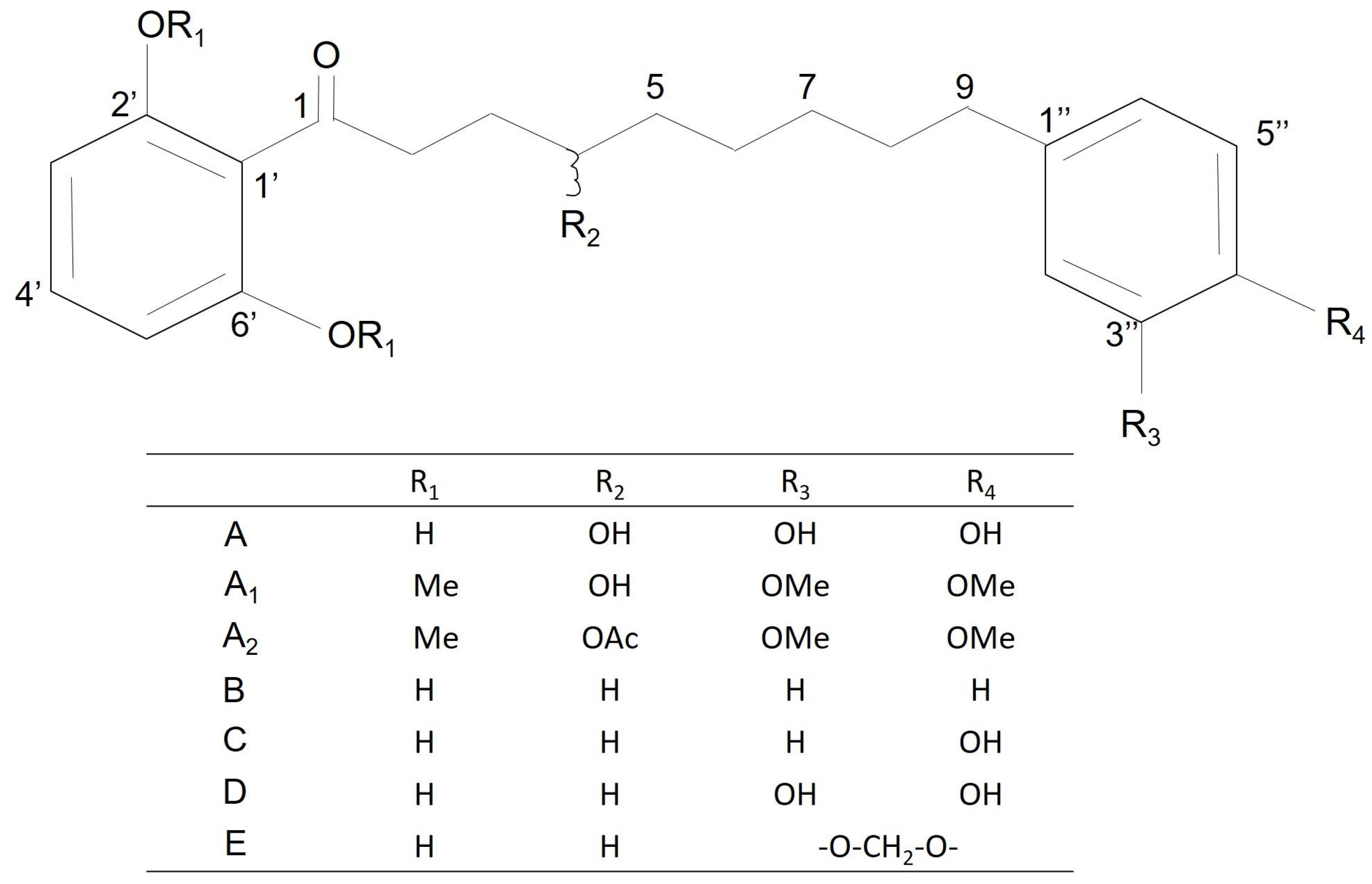 Molbank 2026 m2126 g001