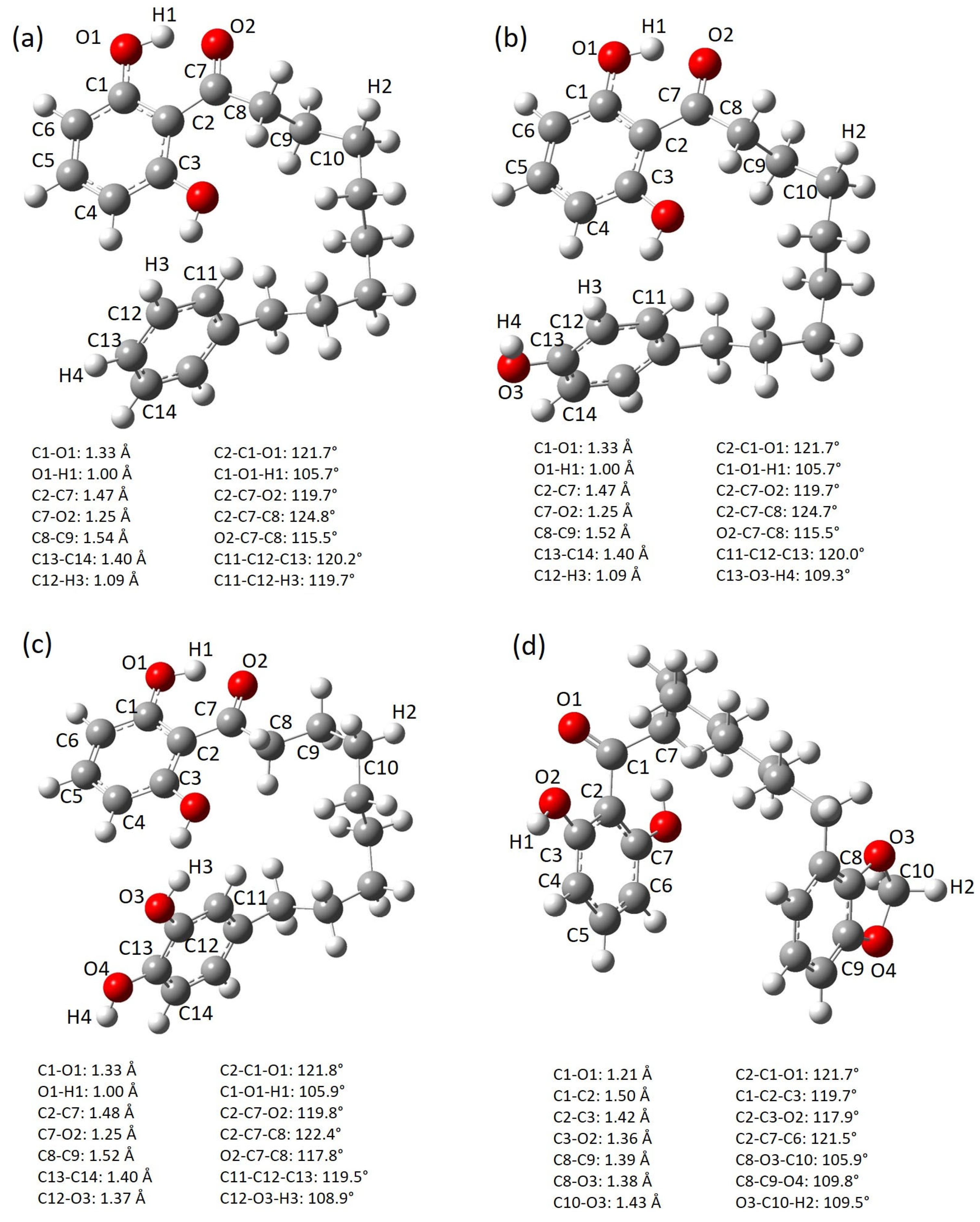 Molbank 2026 m2126 g002
