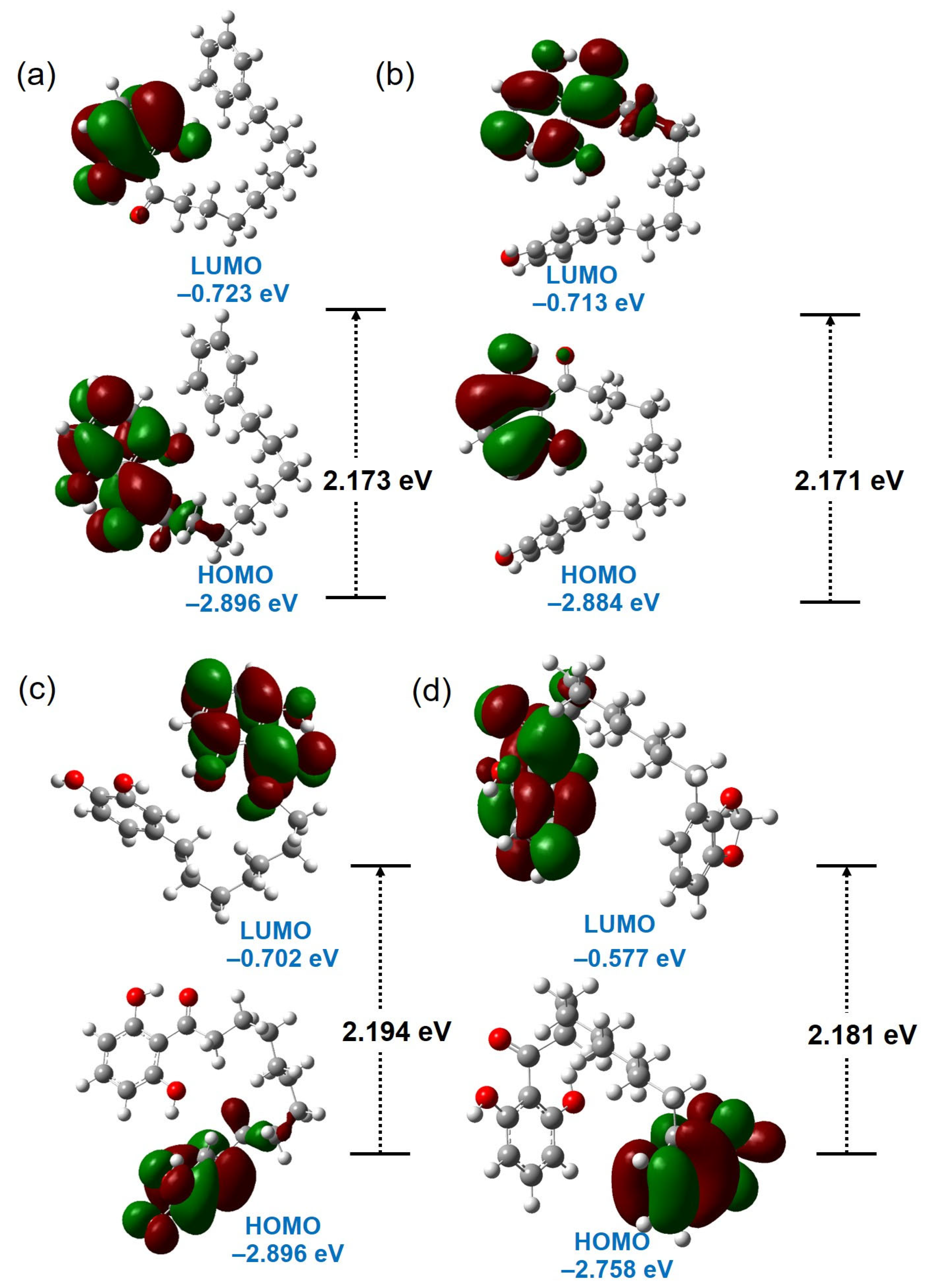 Molbank 2026 m2126 g004