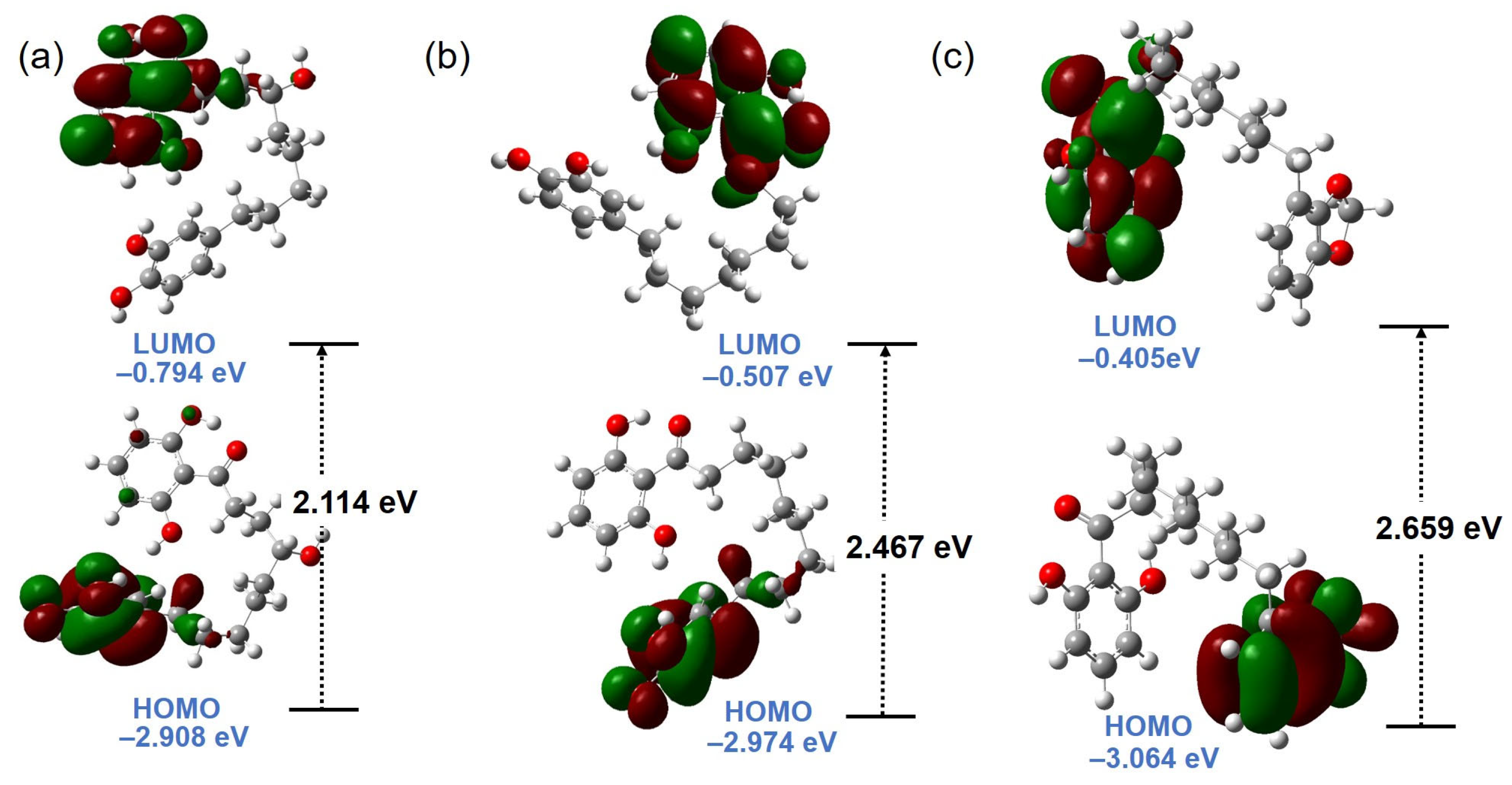 Molbank 2026 m2126 g005