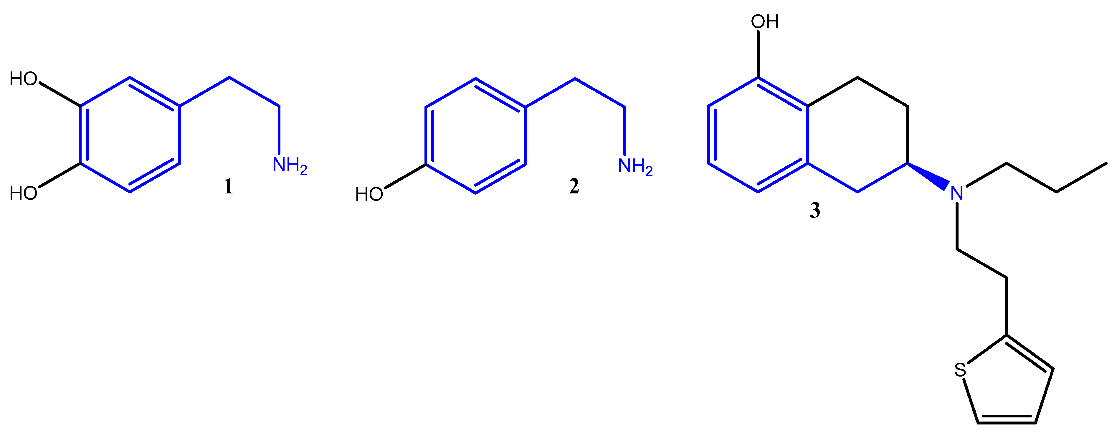 Molbank 2026 m2132 g001