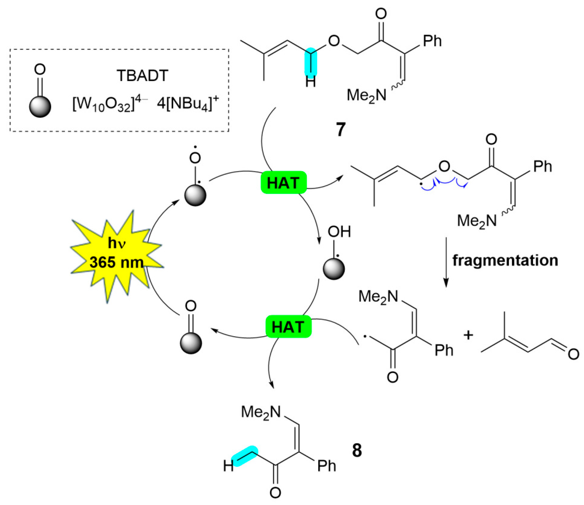 Molbank 2026 m2149 sch003