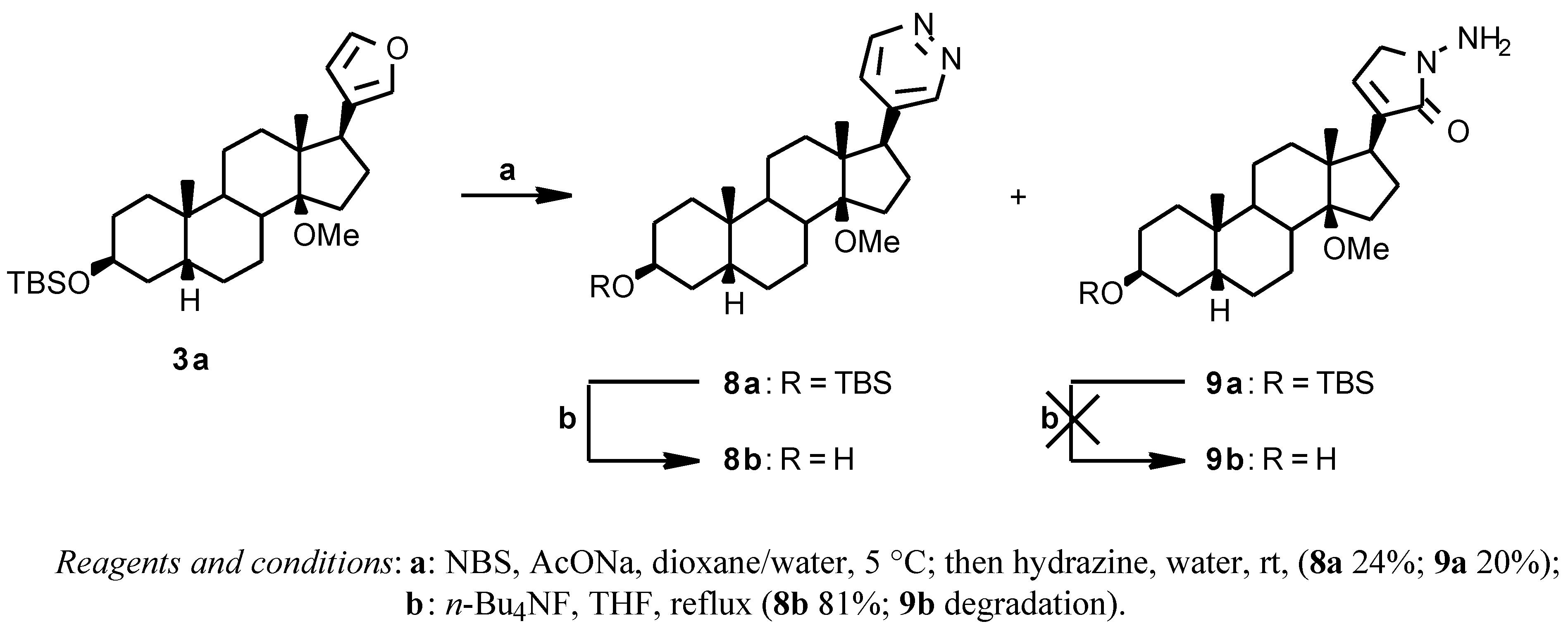 Molecules 03 00020 sch003