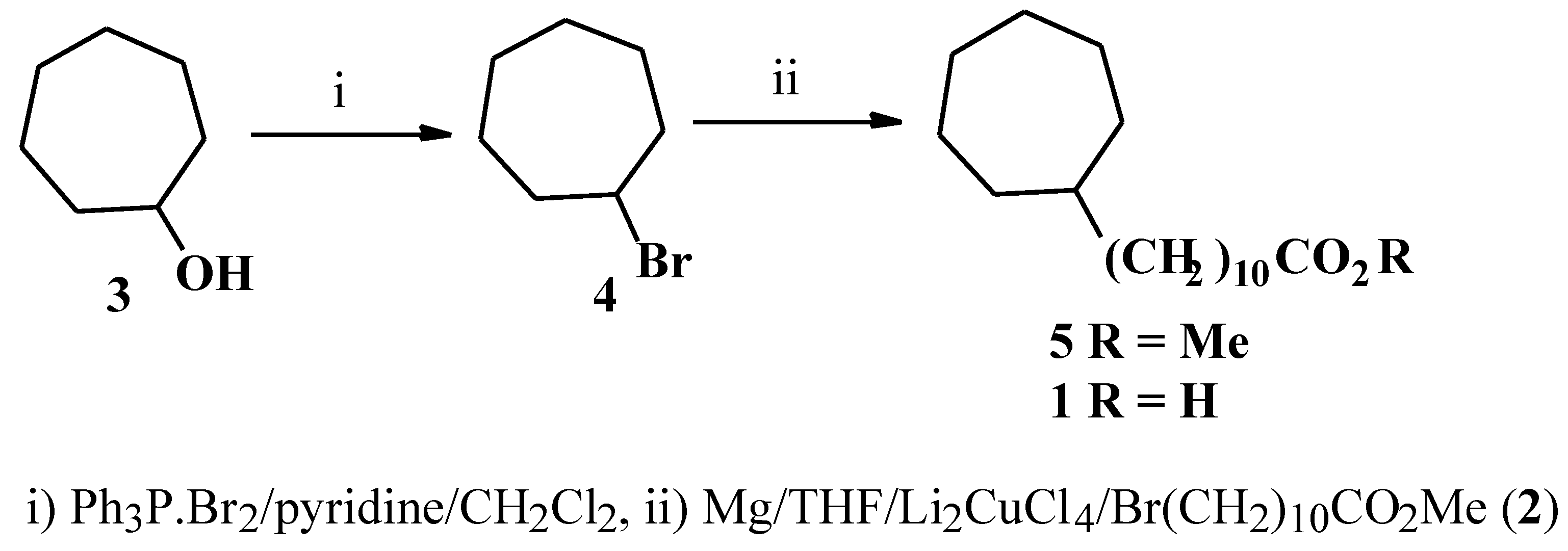 Molecules 03 00041 sch001
