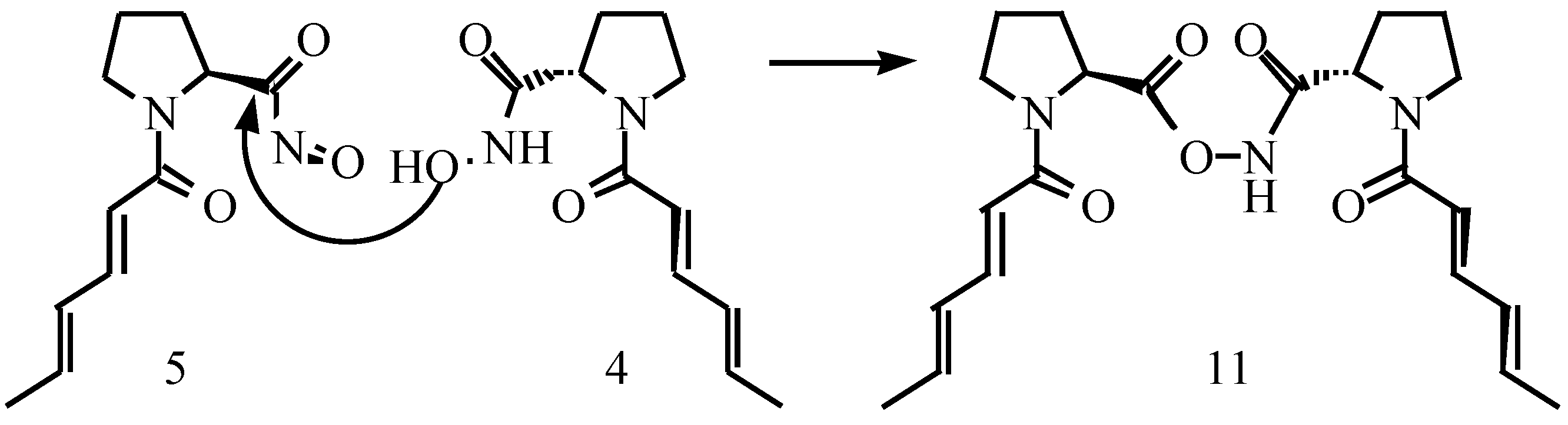 Molecules 03 00080 sch002