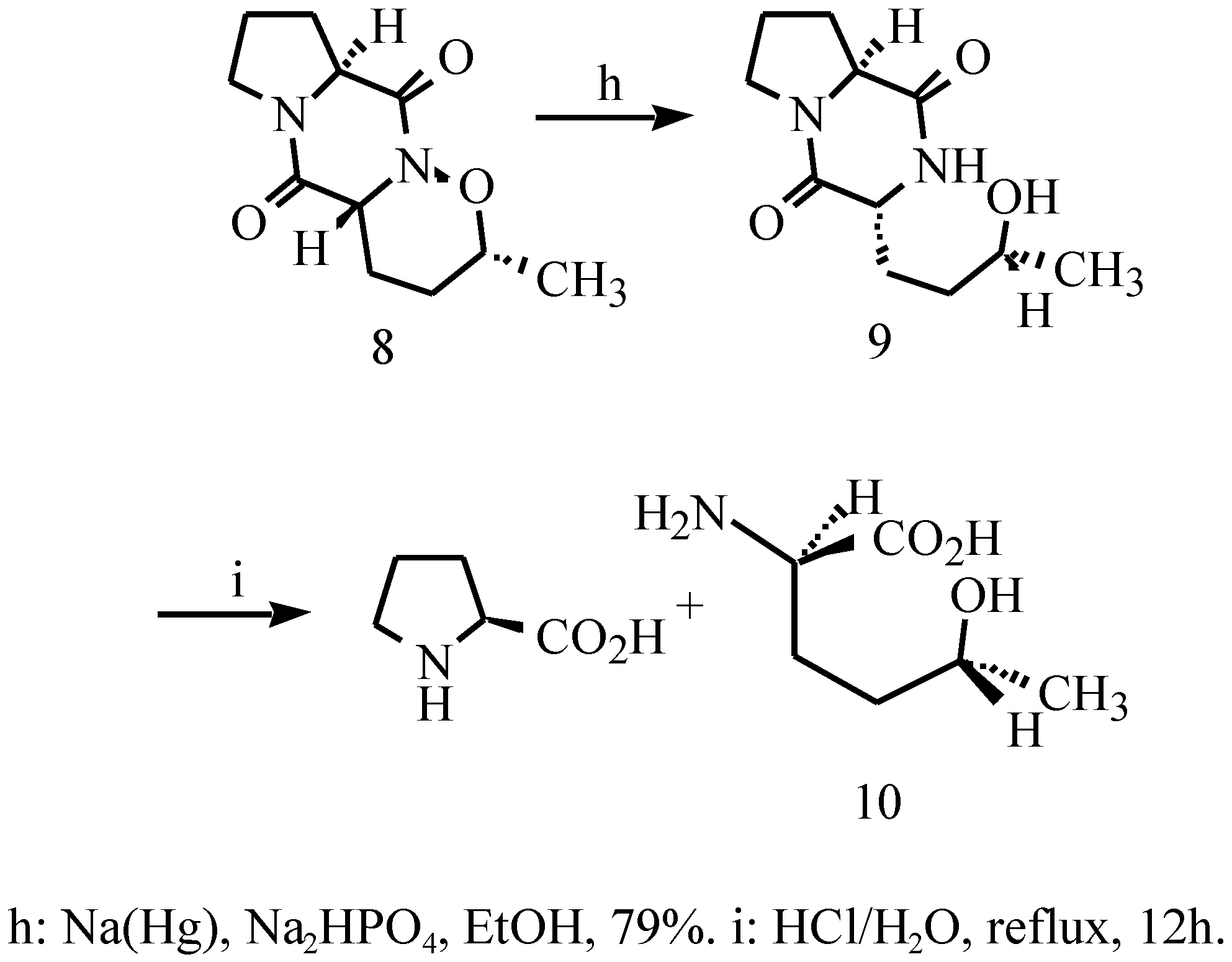 Molecules 03 00080 sch004