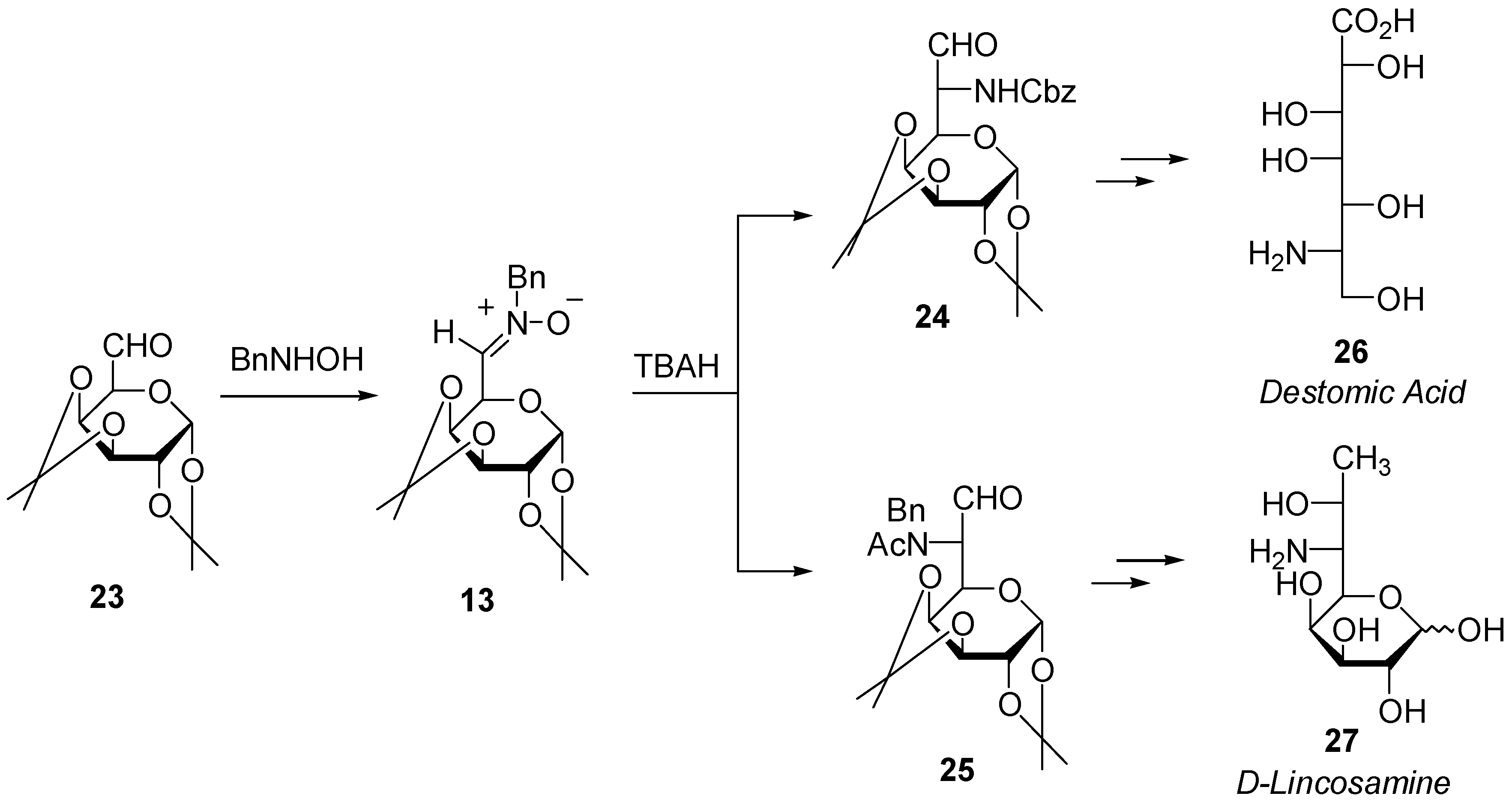 Molecules 04 00169 sch006