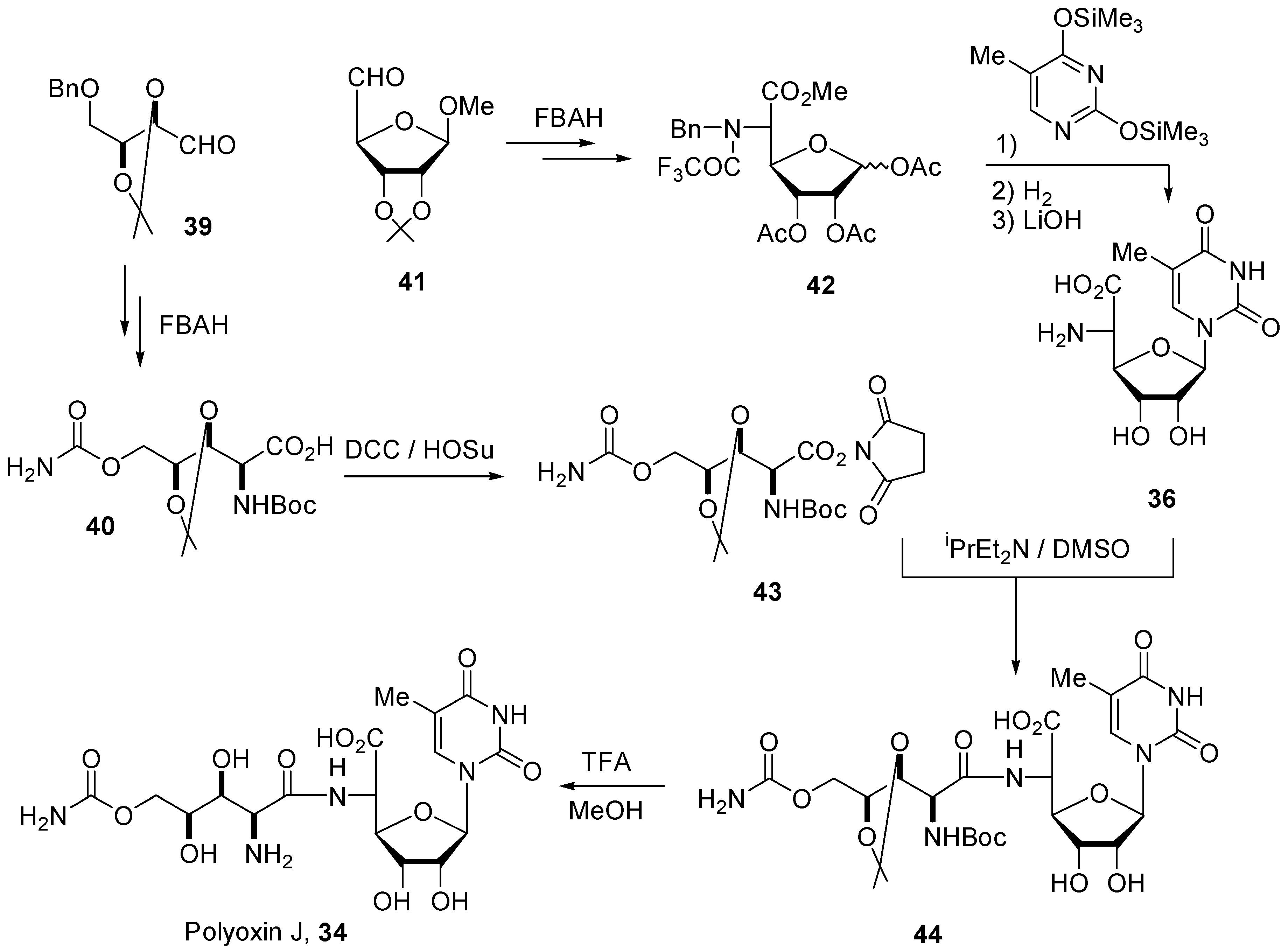 Molecules 04 00169 sch010