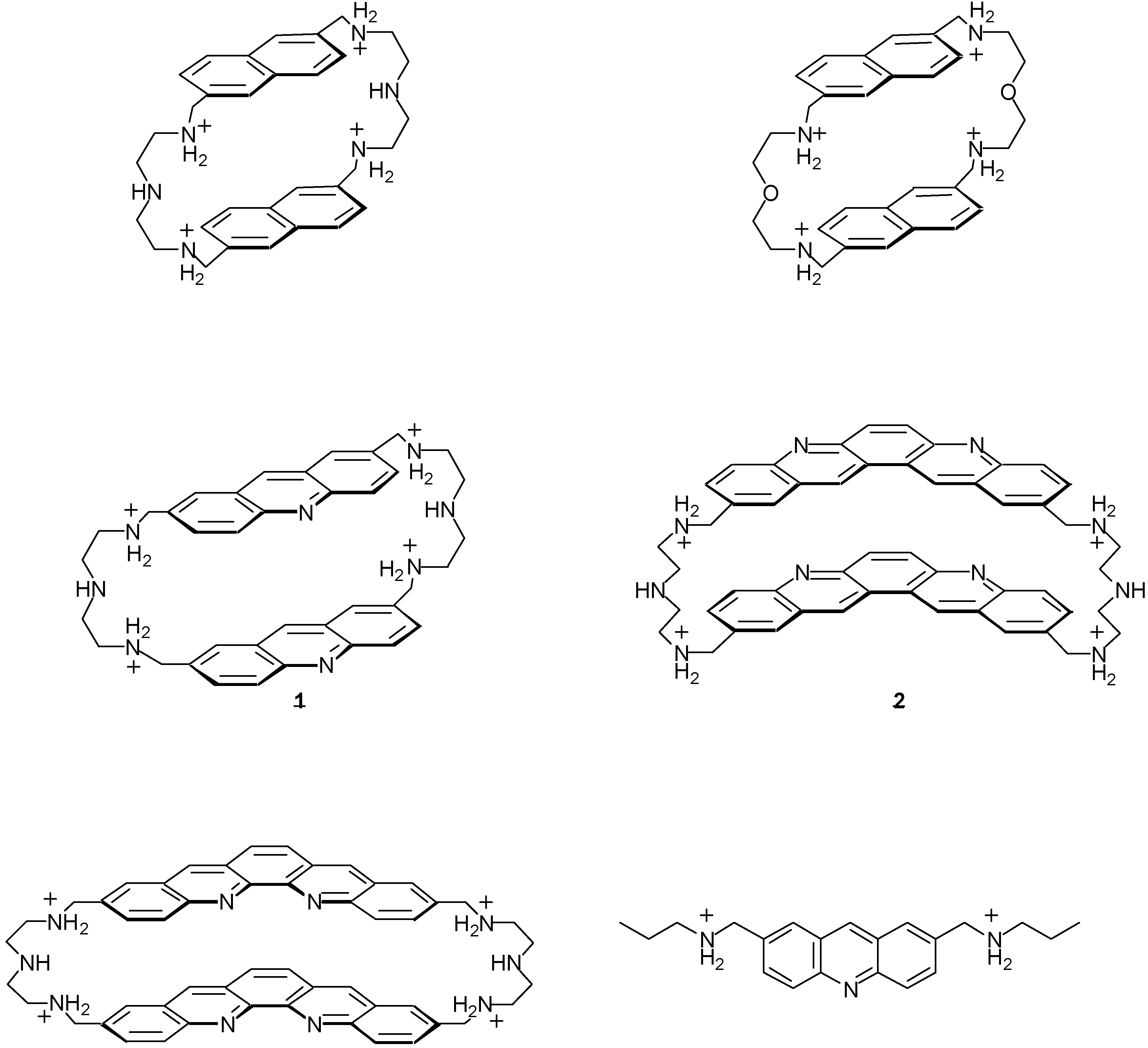Molecules 04 00180 g003