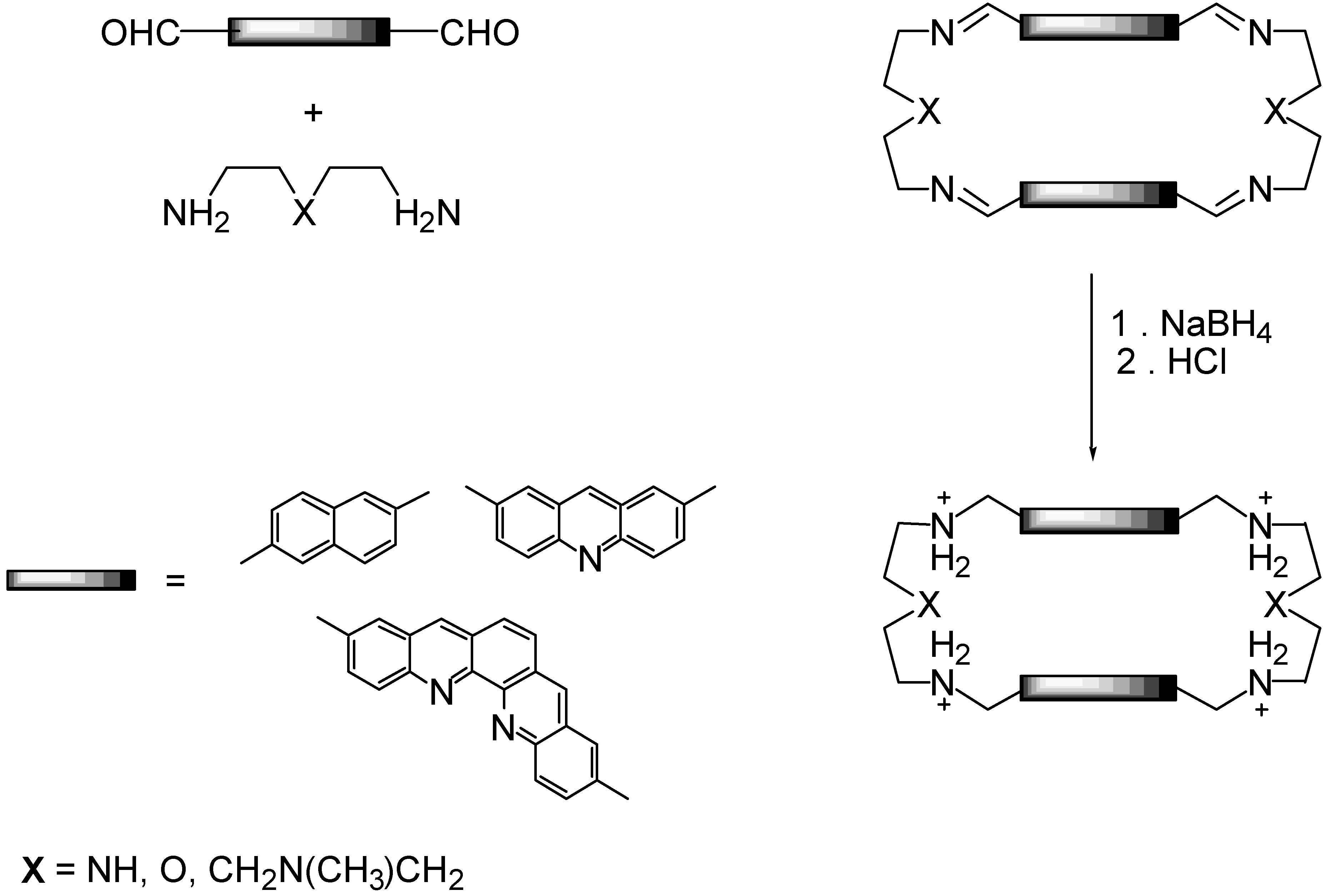 Molecules 04 00180 g004