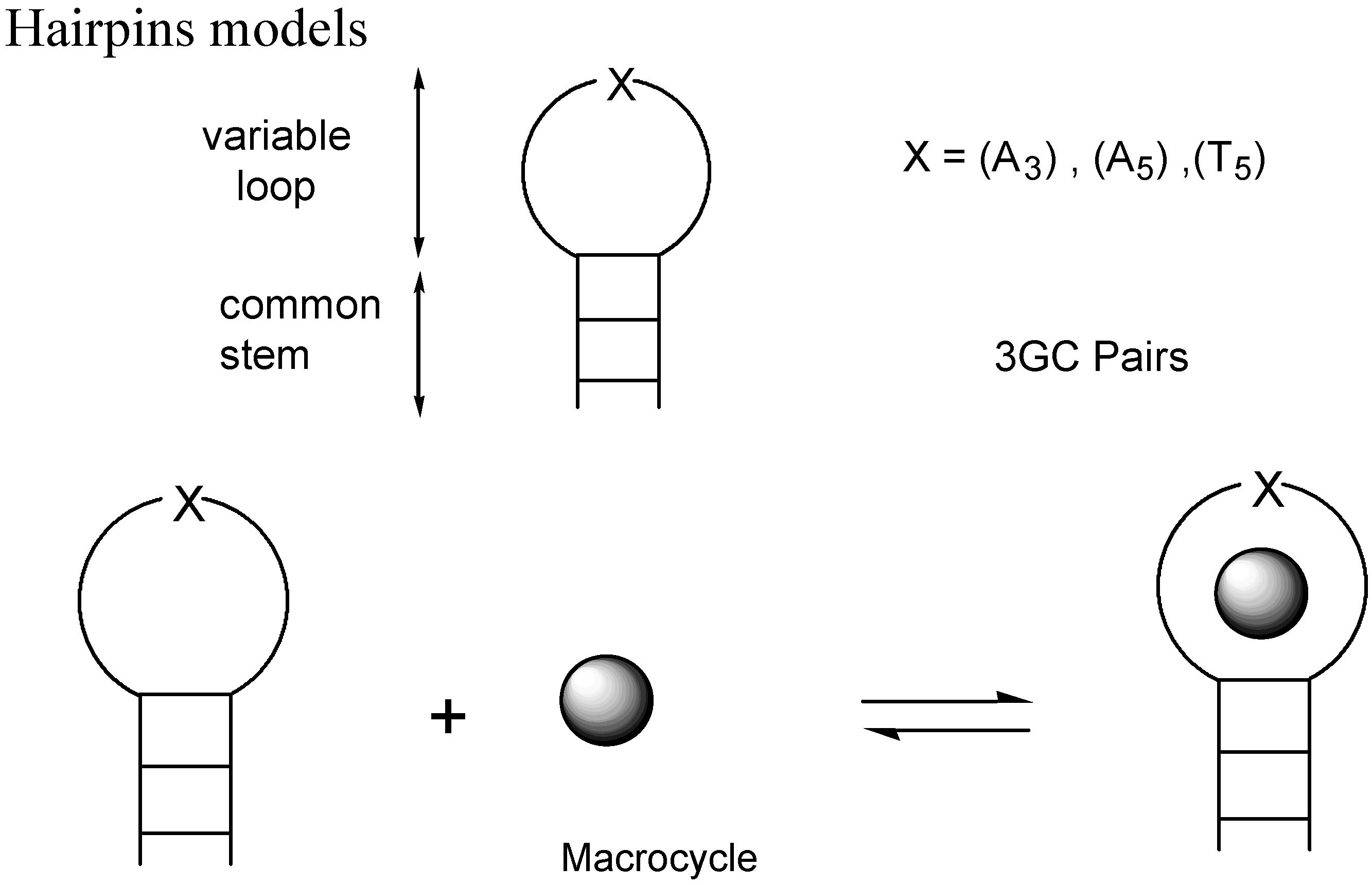 Molecules 04 00180 g007