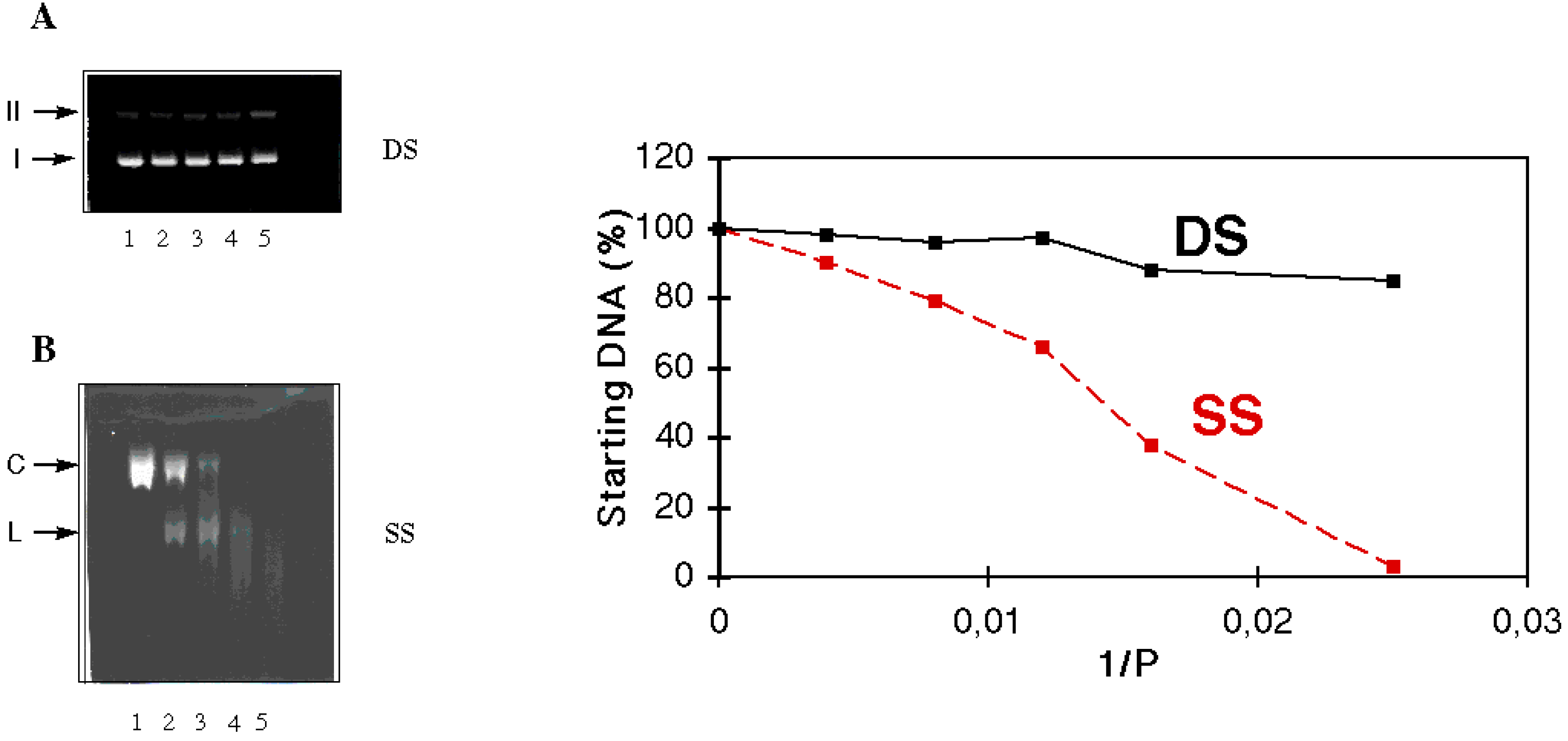 Molecules 04 00180 g009