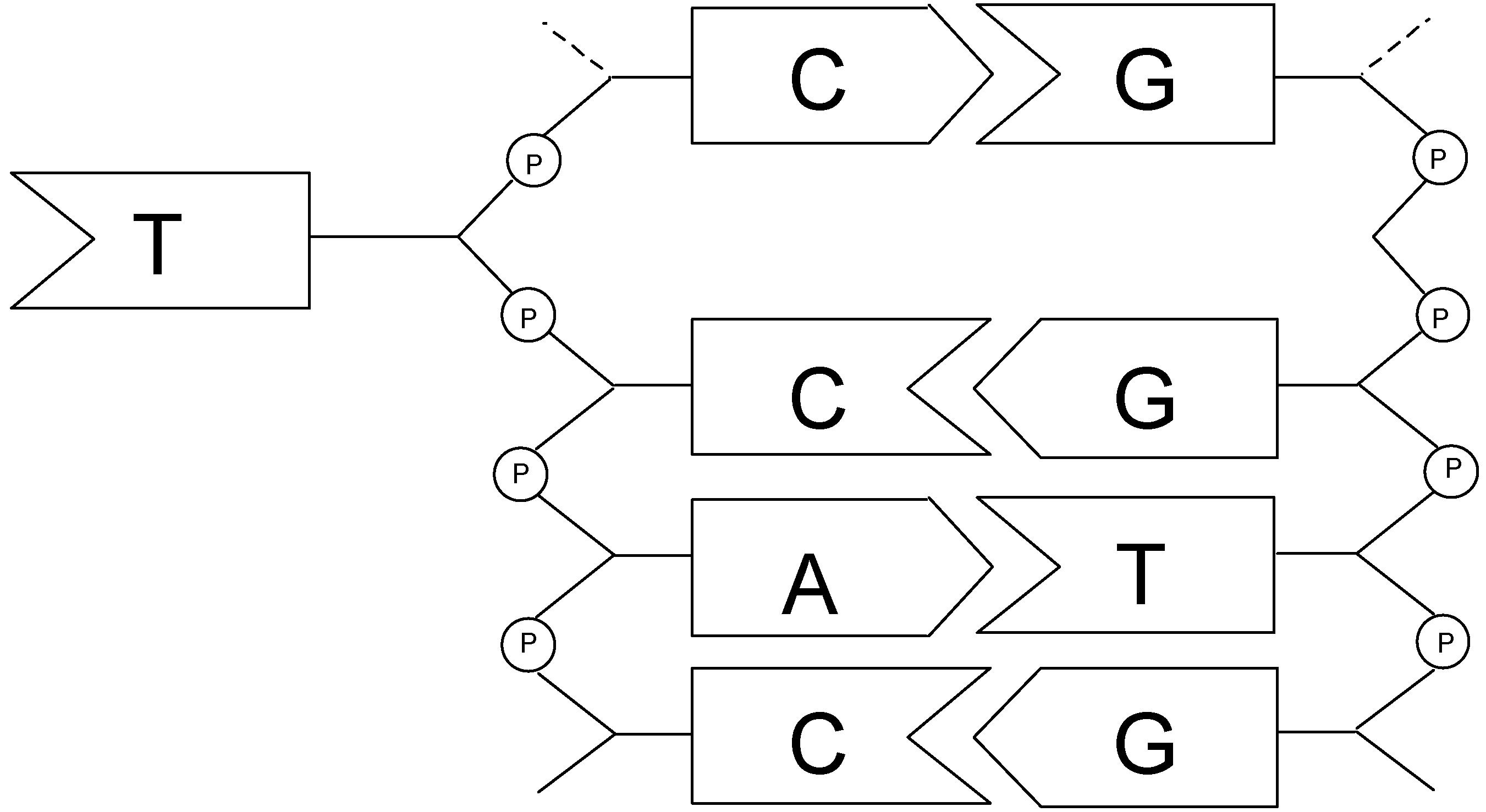 Molecules 04 00180 g010