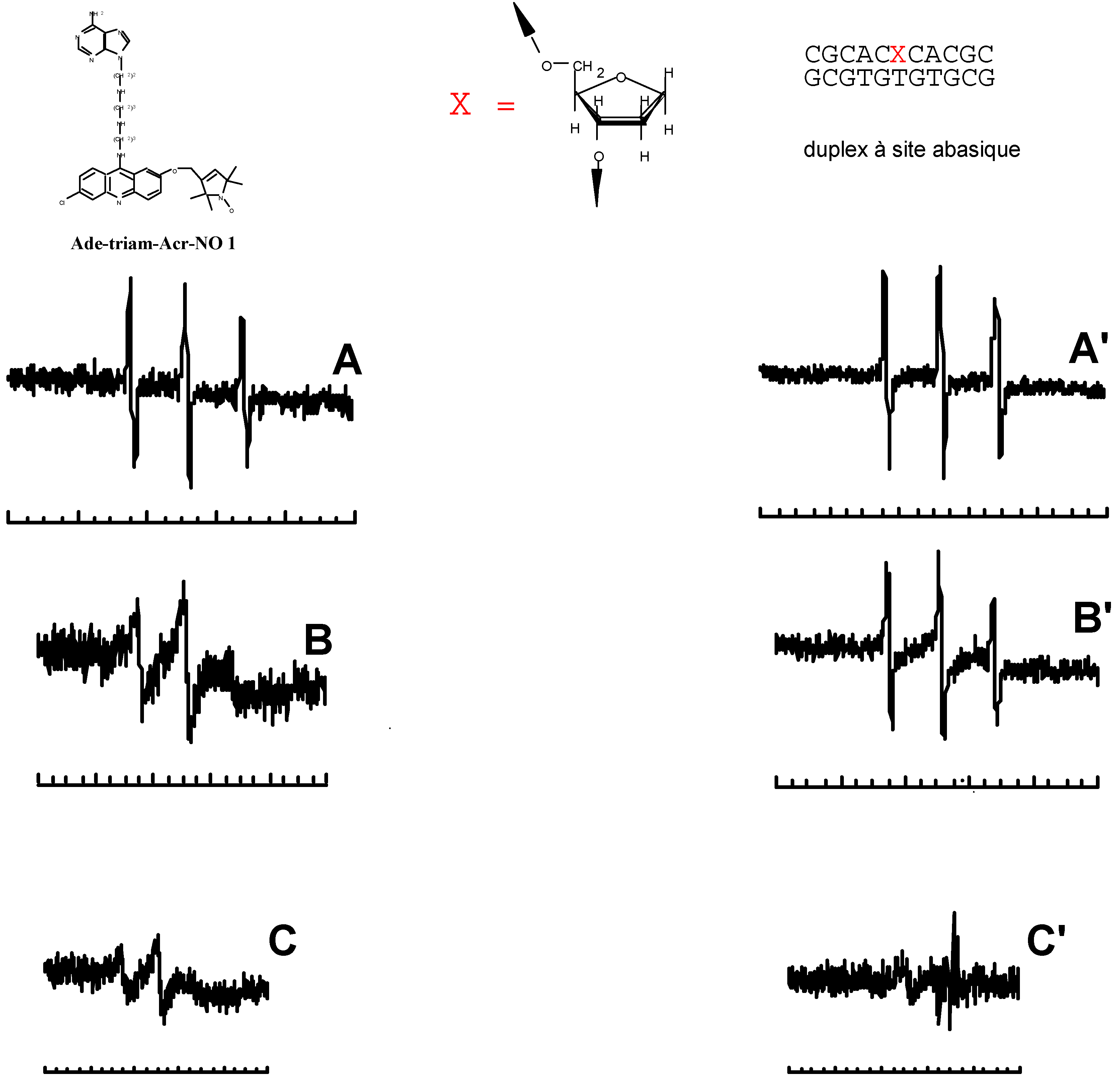 Molecules 04 00180 g012