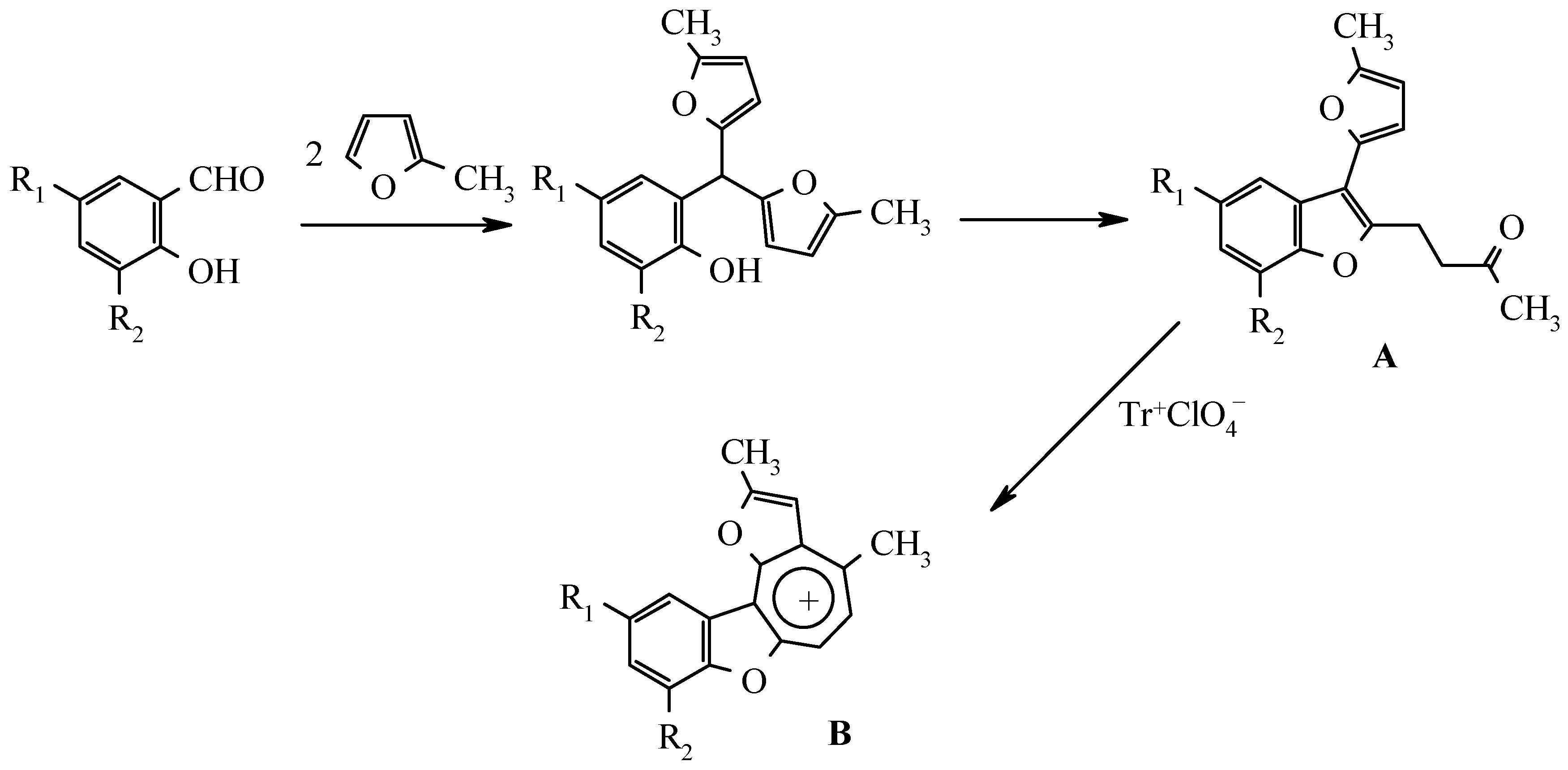 Molecules 04 00204 sch001