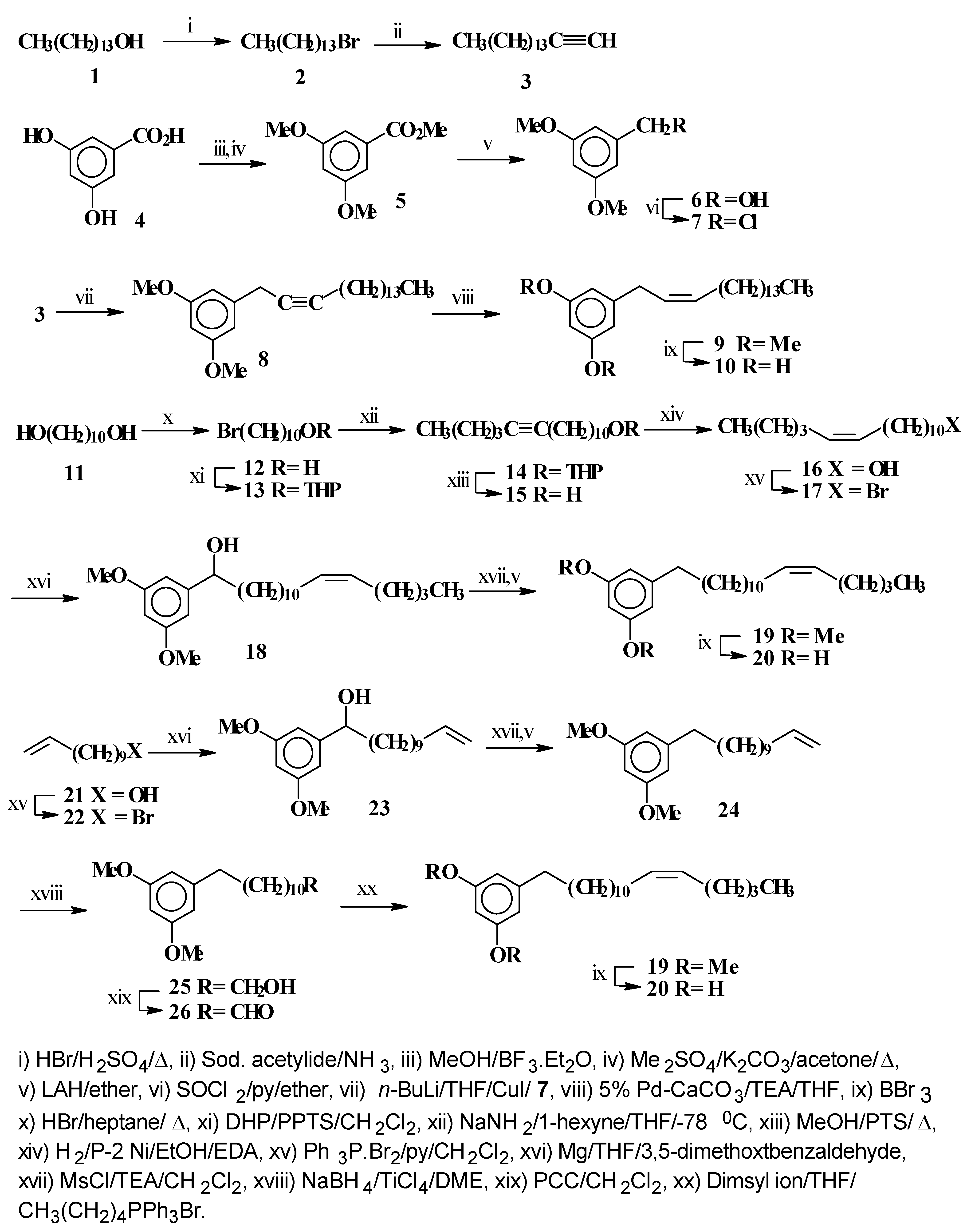 Molecules 04 00245 sch001