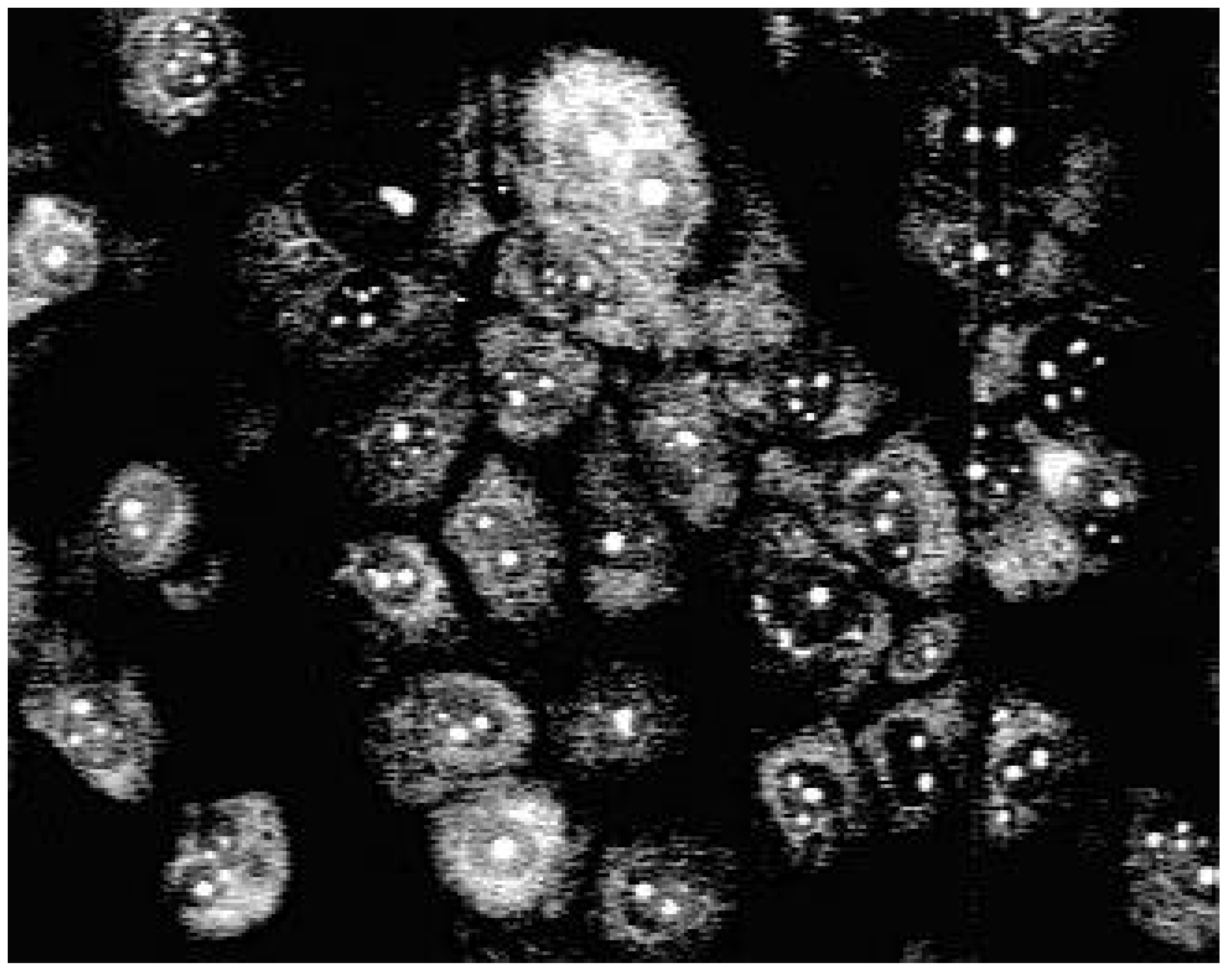 Molecules 04 00264 g001