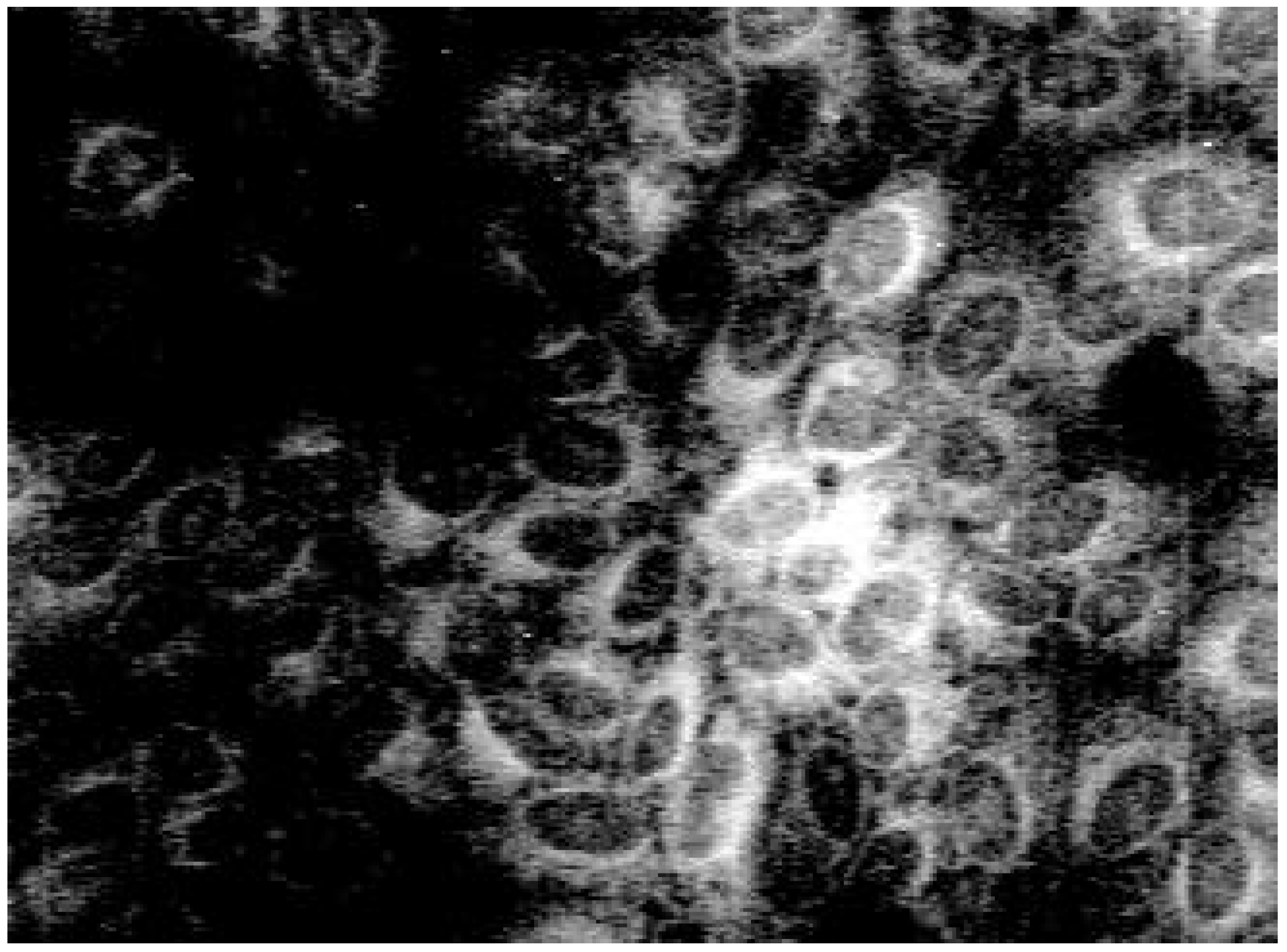 Molecules 04 00264 g002