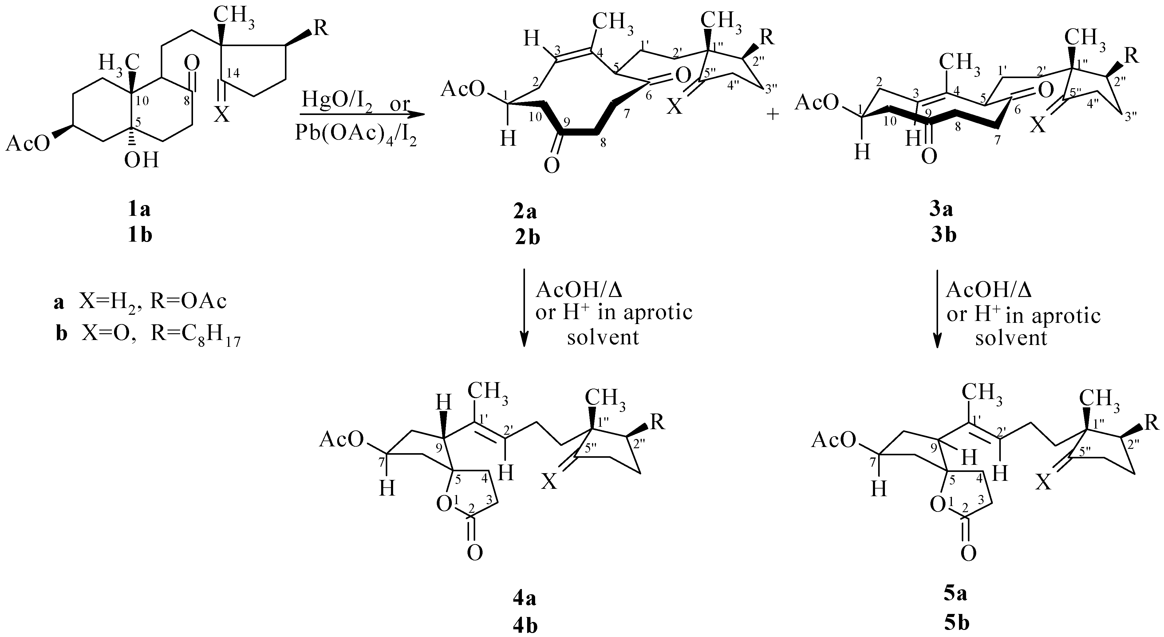Molecules 04 00272 sch001