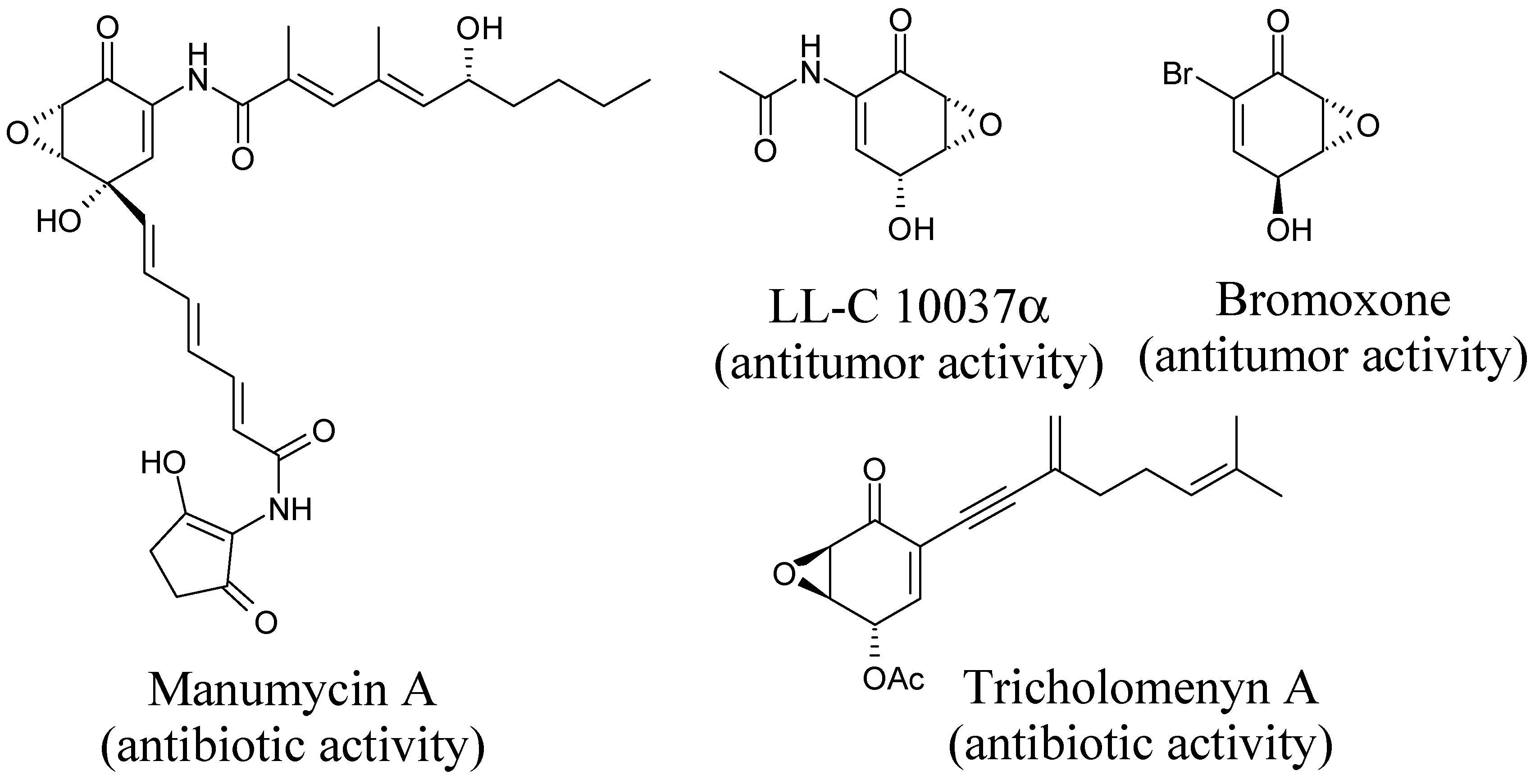 Molecules 04 00338 g001