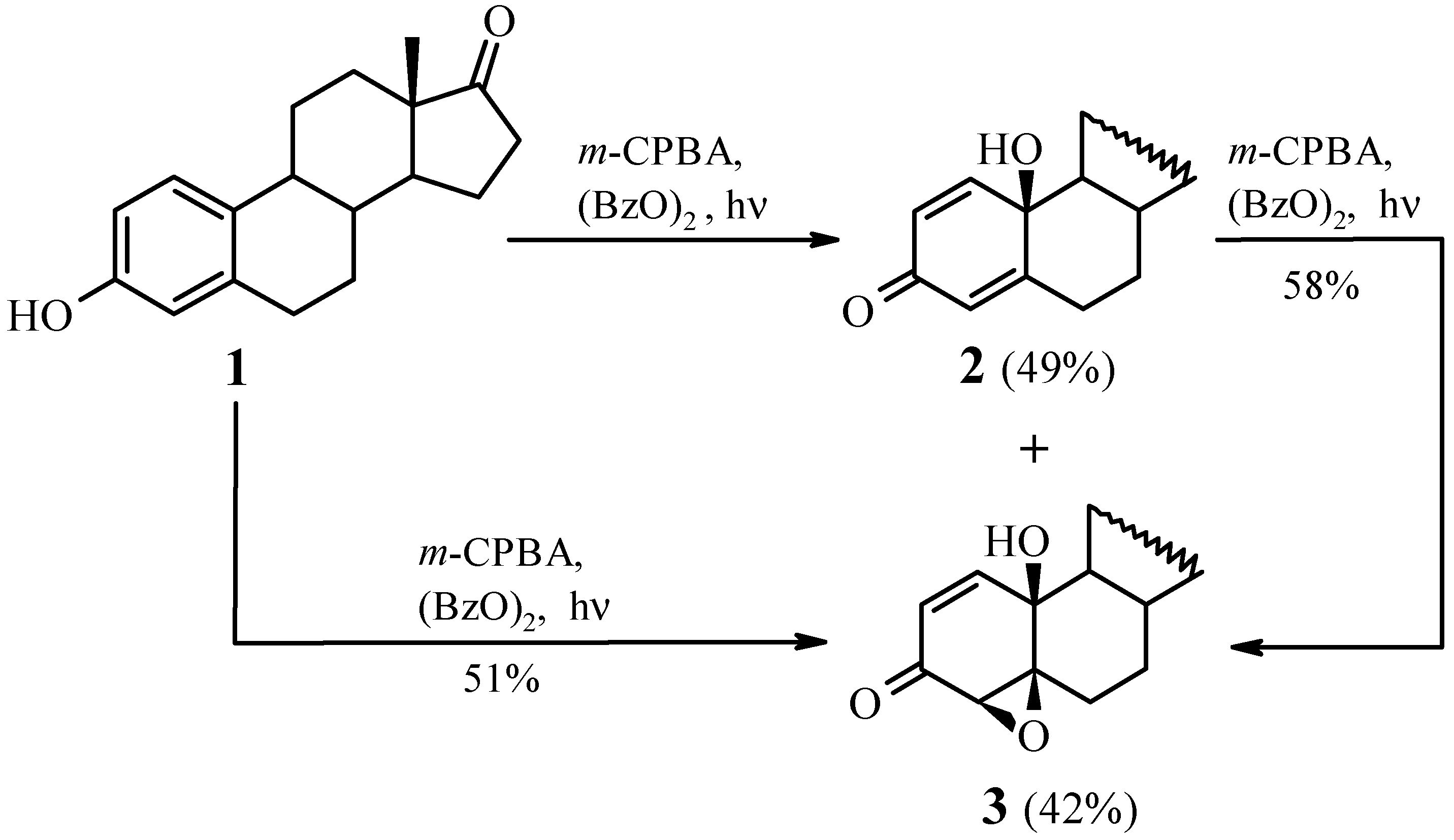 Molecules 04 00338 sch001