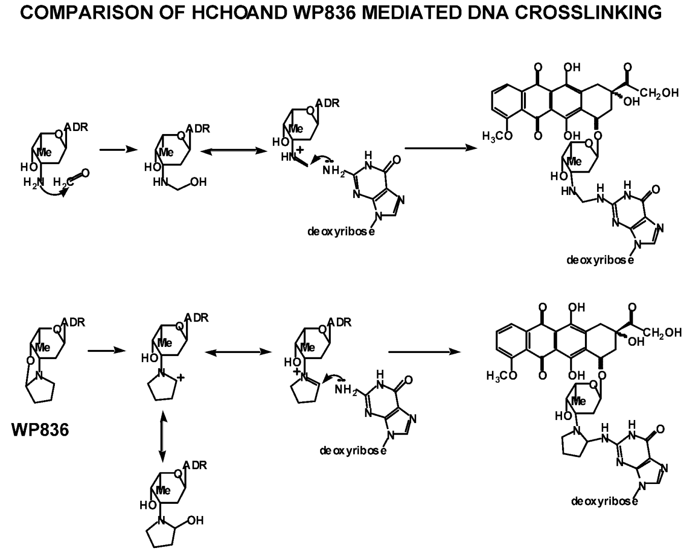 Molecules 05 00299 i002