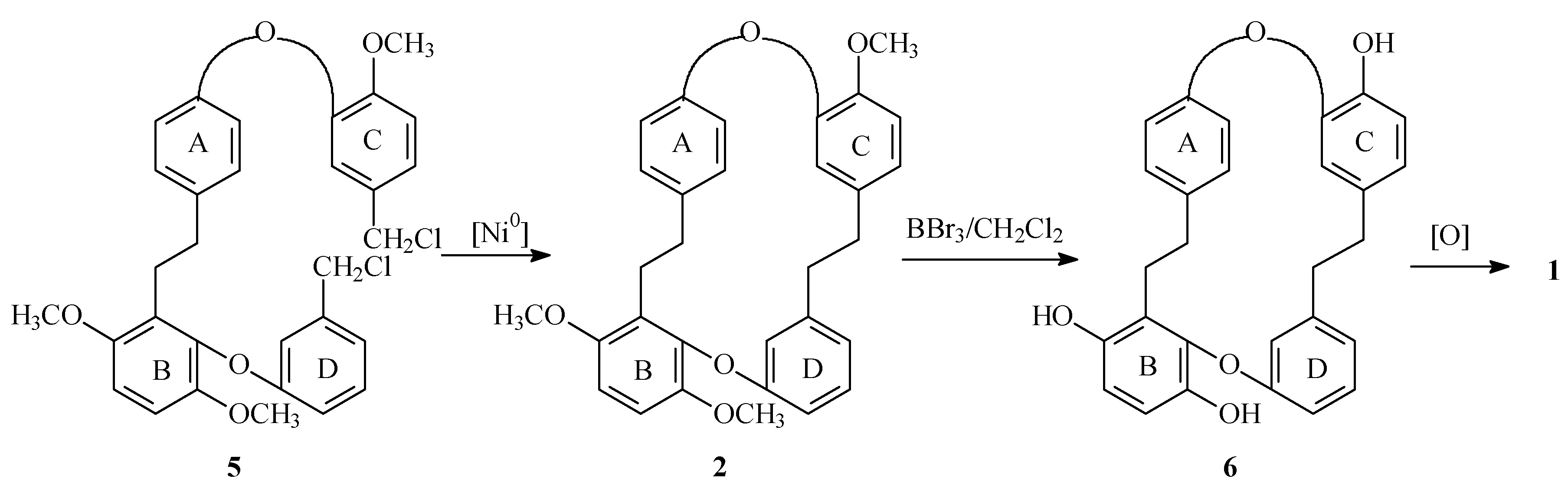 Molecules 05 00334 i002