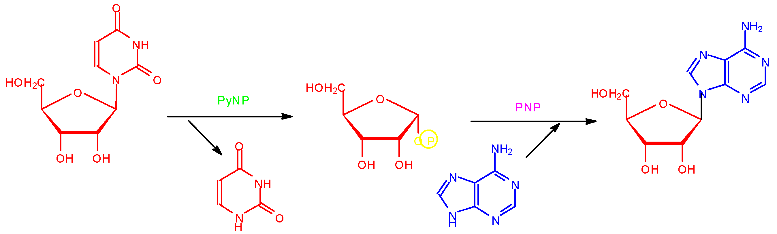 Molecules 05 00535 g001