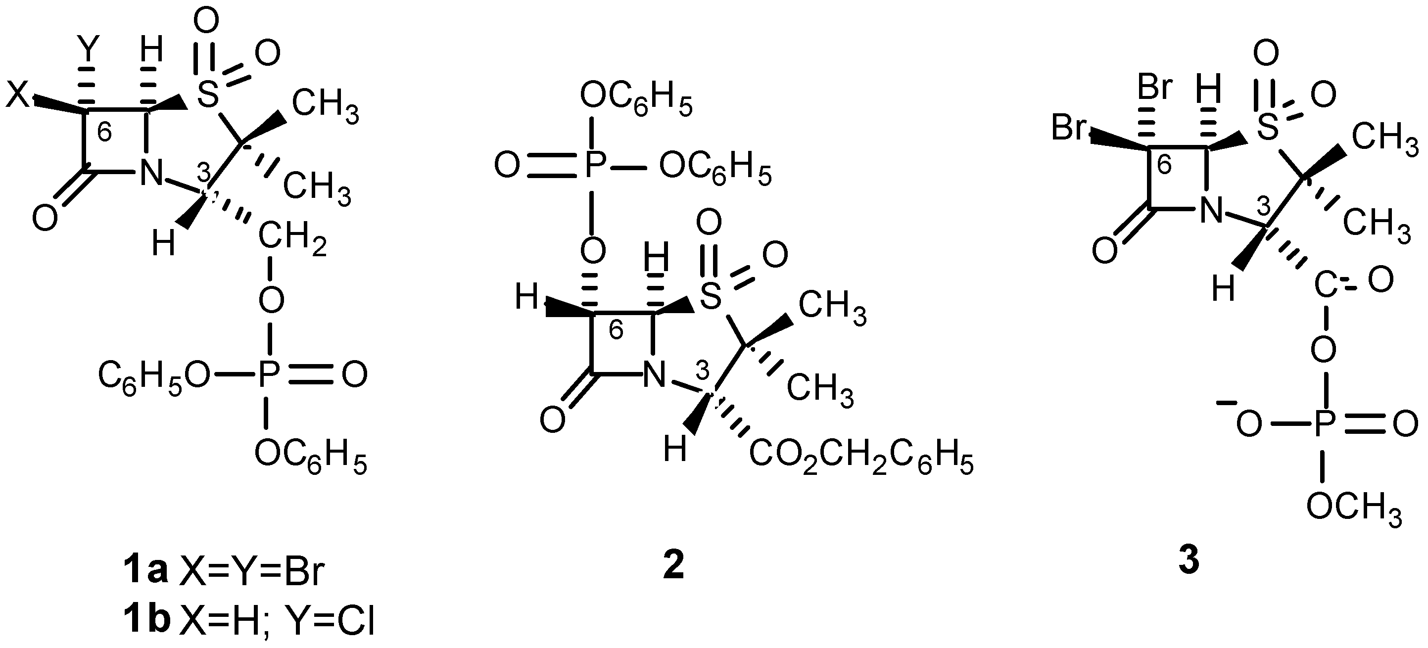 Molecules 05 00655 i001