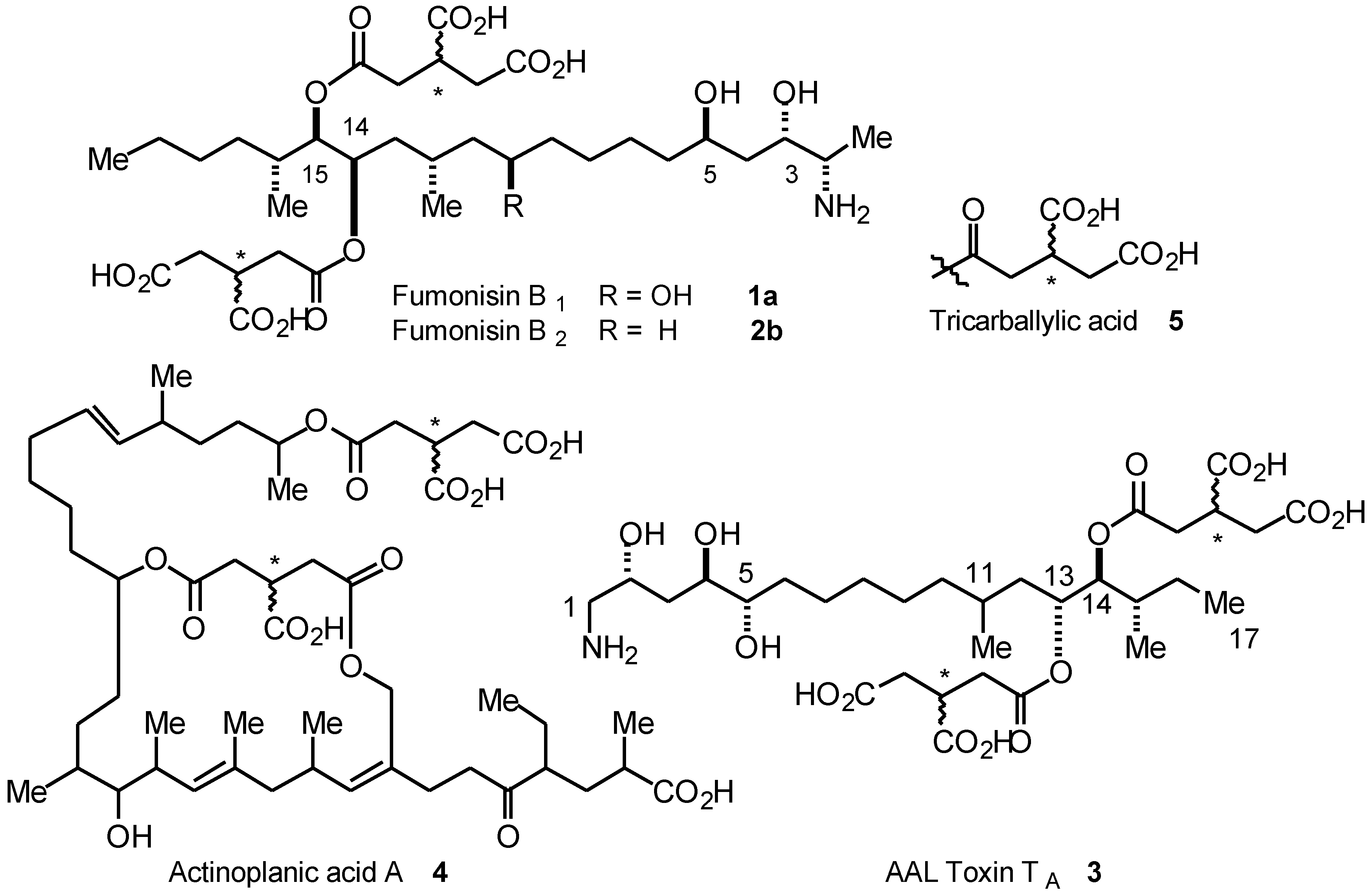 Molecules 05 00665 g001