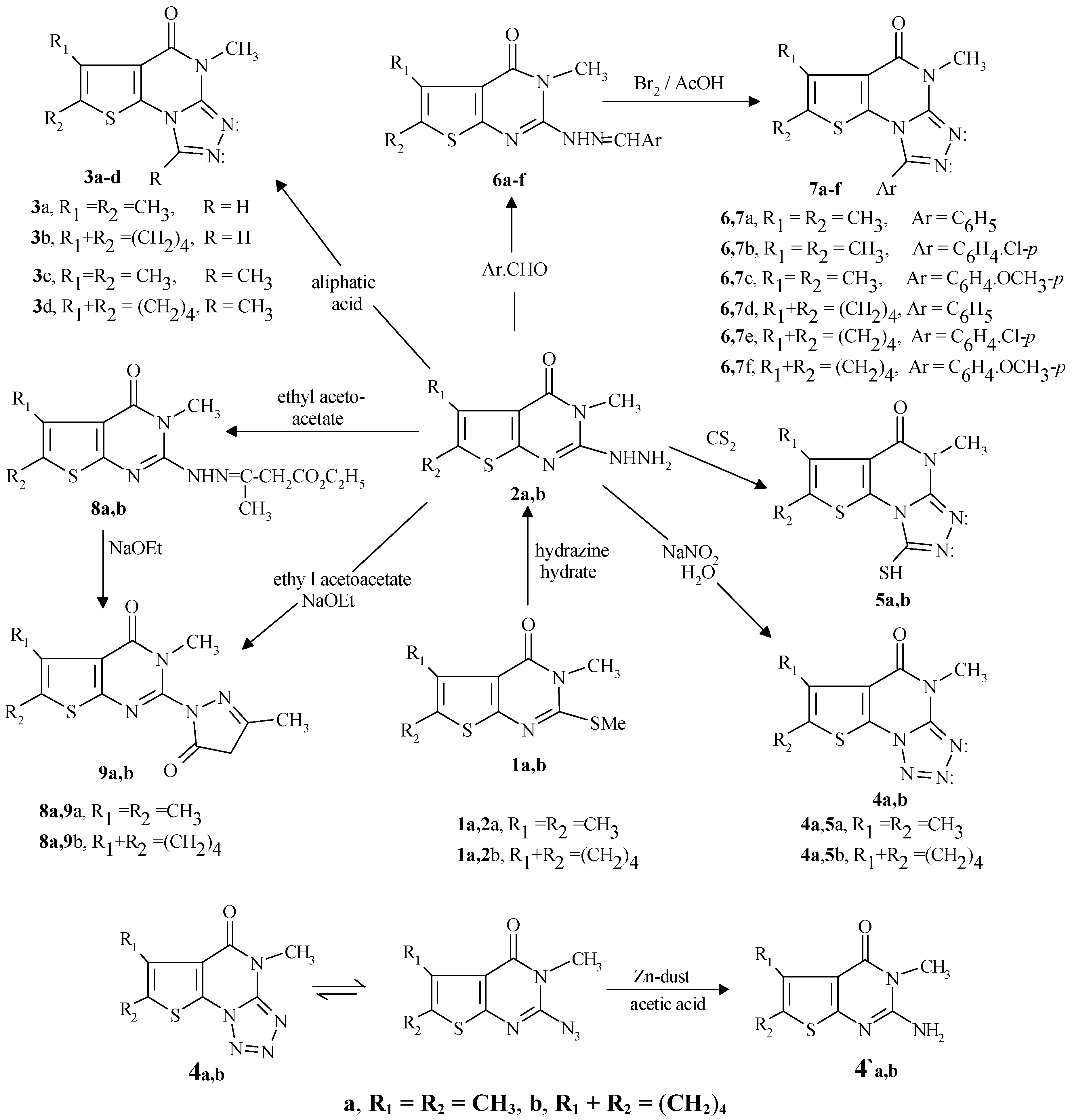 Molecules 05 00835 sch001
