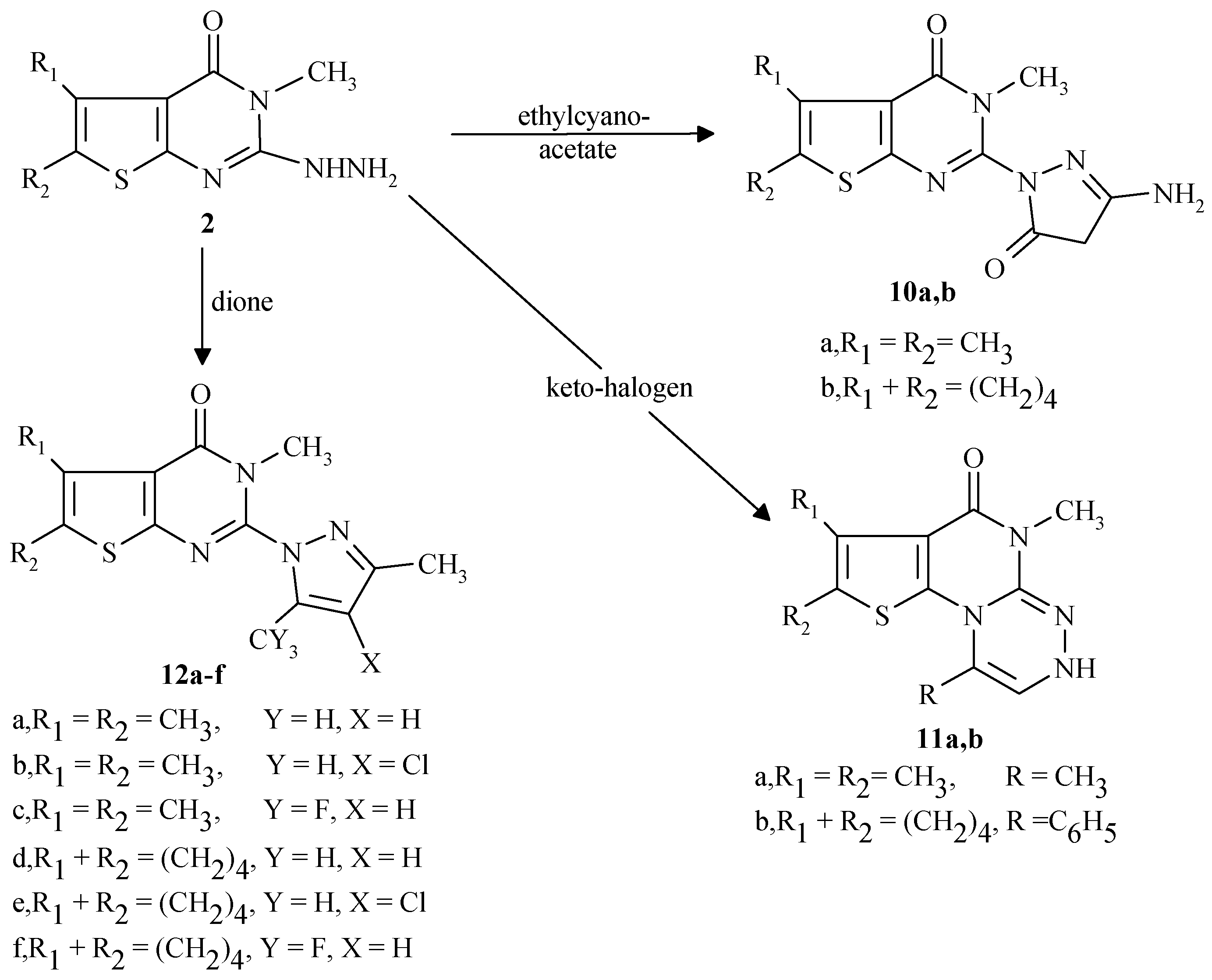 Molecules 05 00835 sch002
