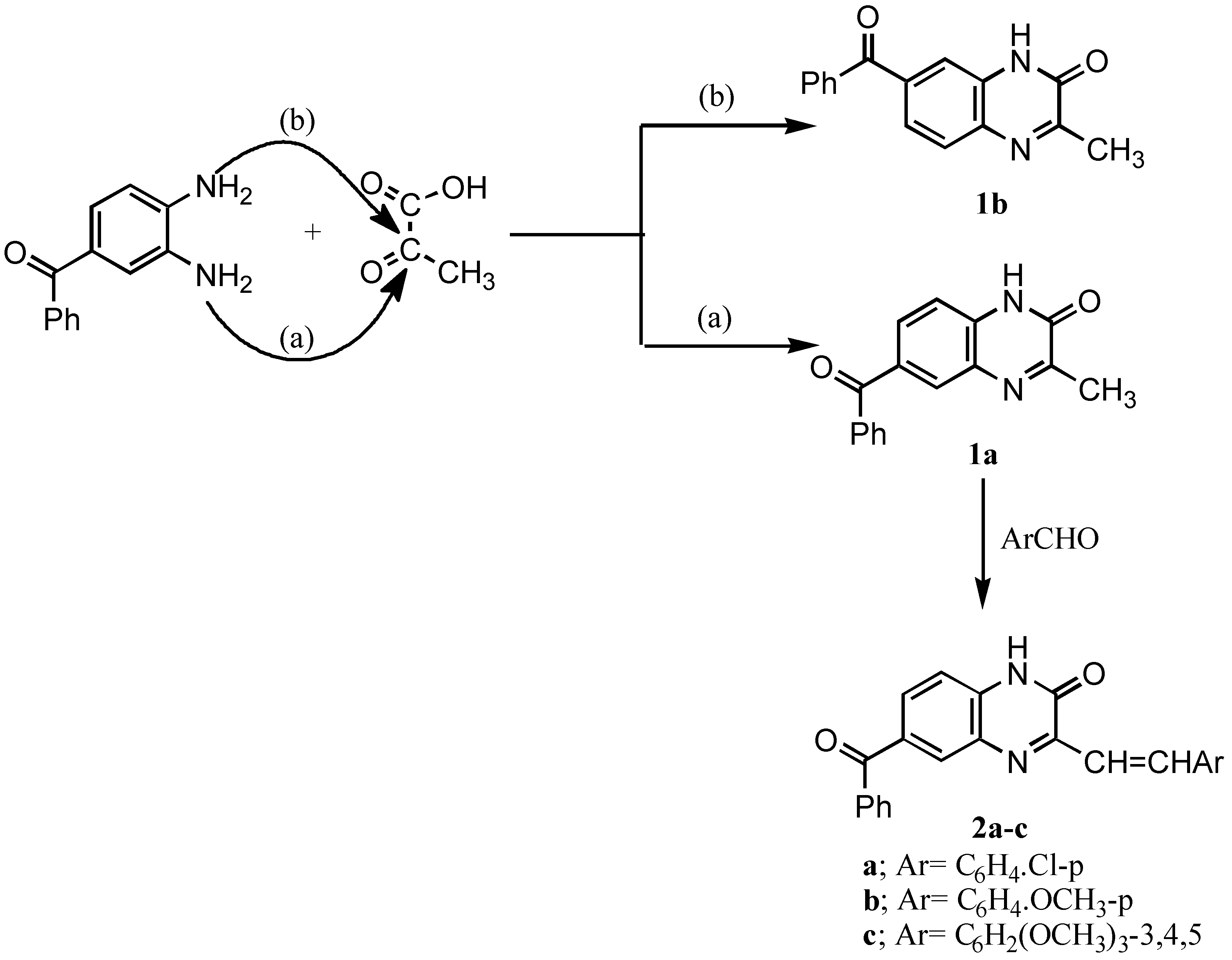 Molecules 05 00864 sch001