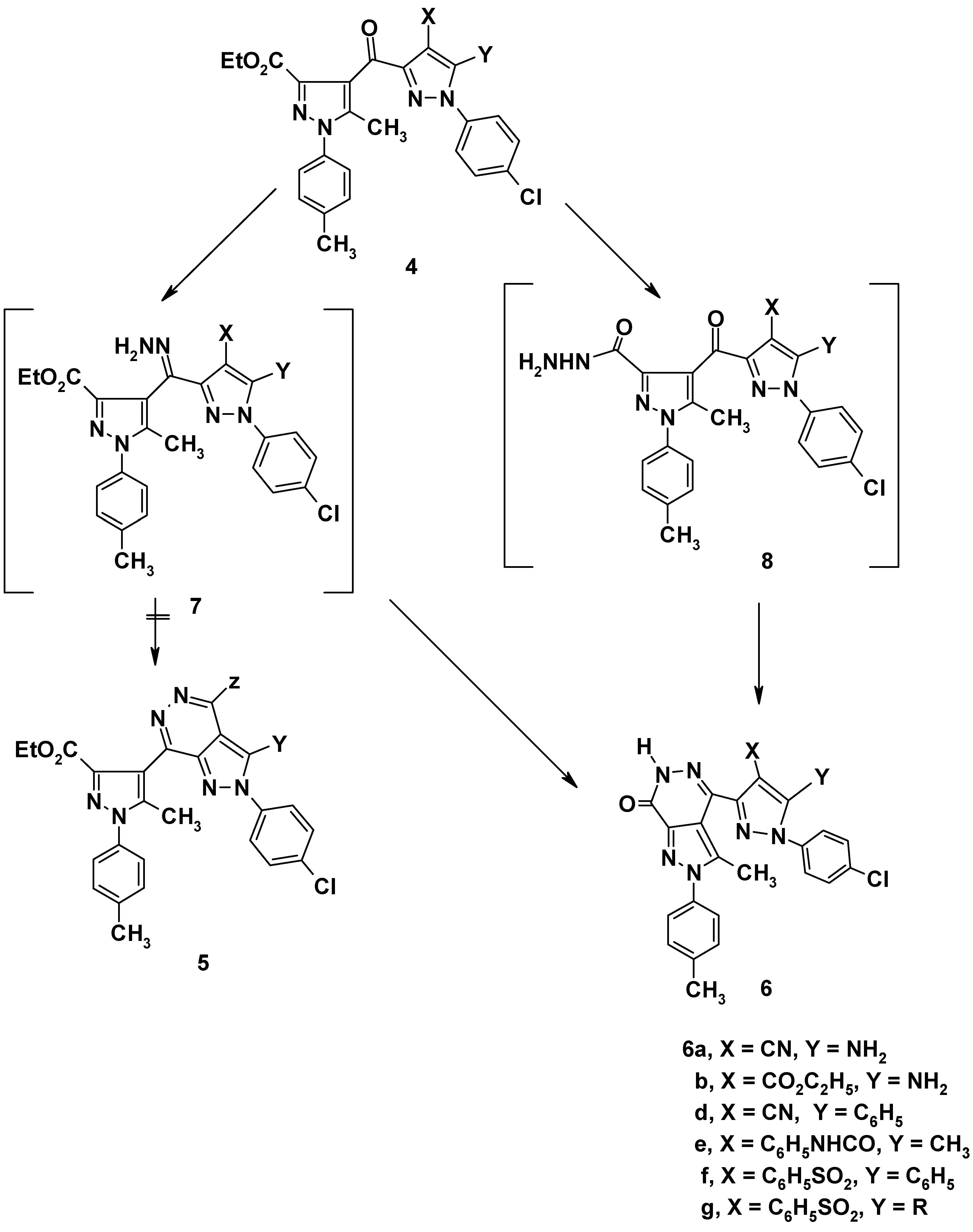Molecules 05 00967 sch002
