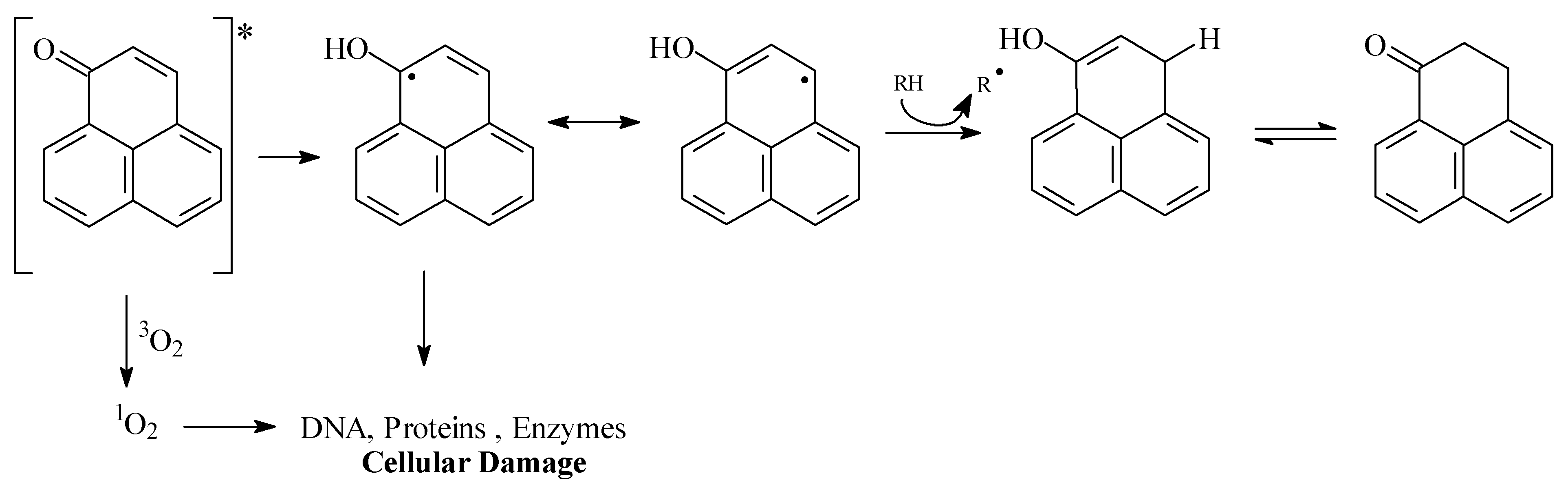 Molecules 05 00974 g004
