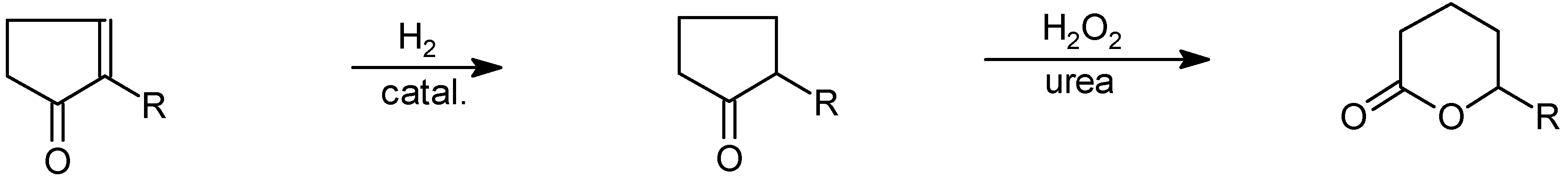 Molecules 05 01201 sch016