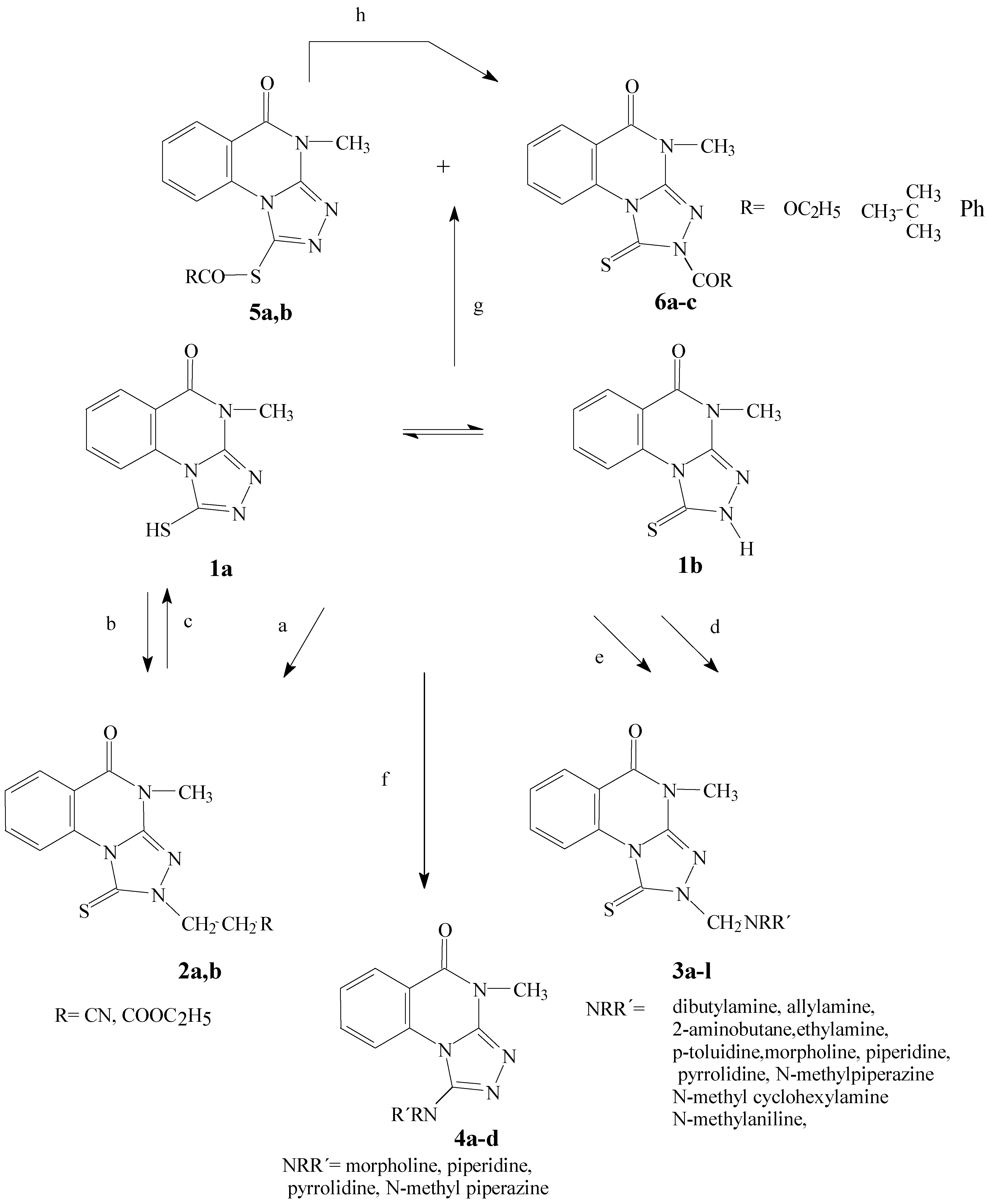 Molecules 05 01210 sch001