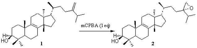 Molecules 05 m192 i001