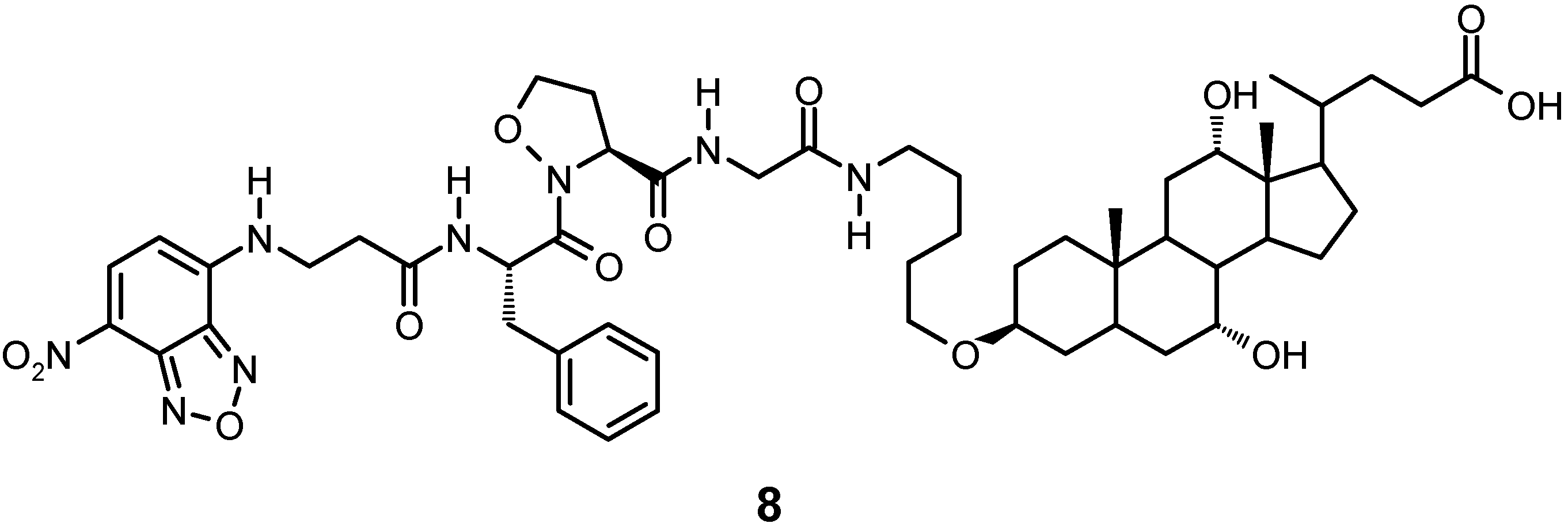 Molecules 06 00021 g002
