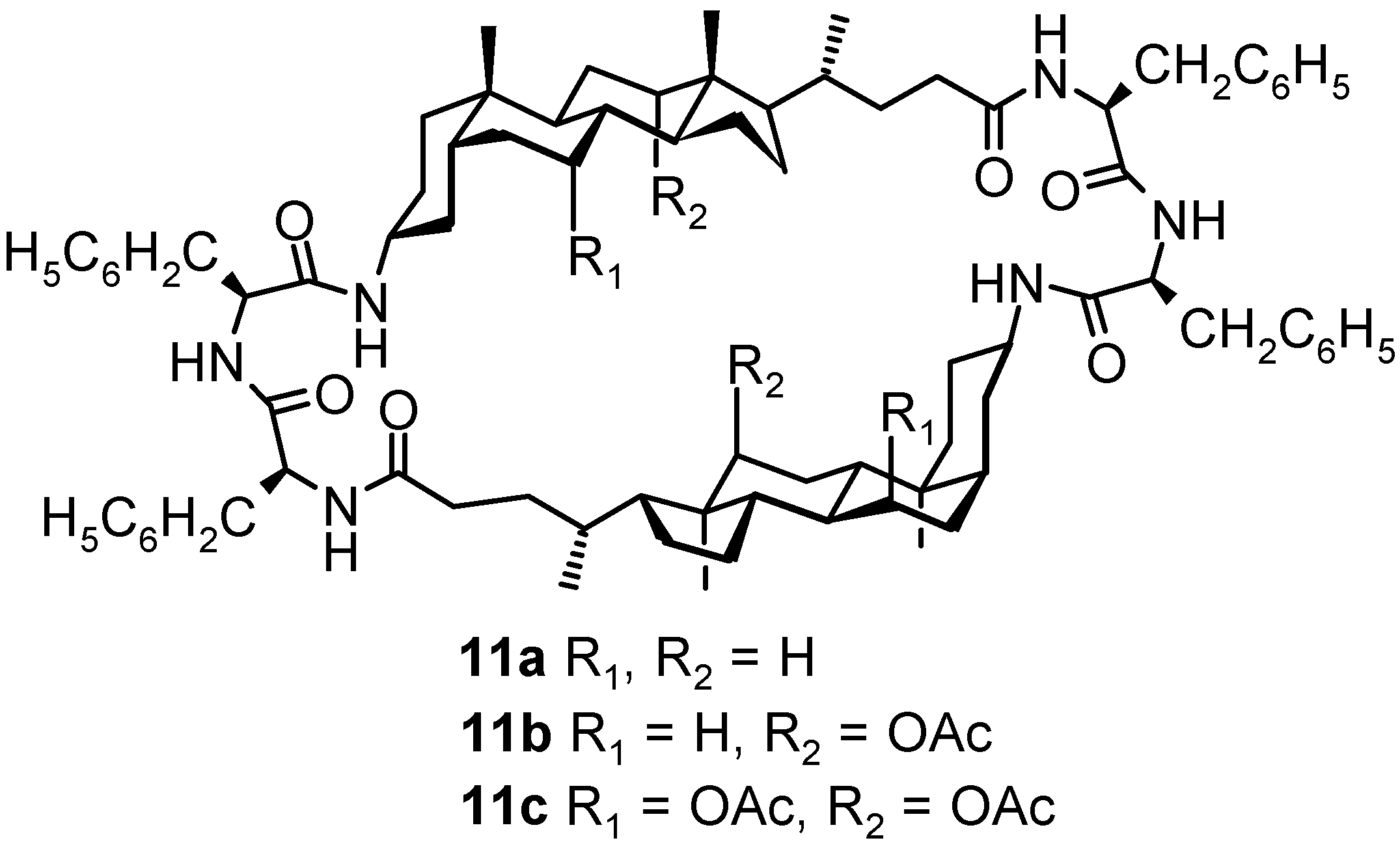 Molecules 06 00021 g005