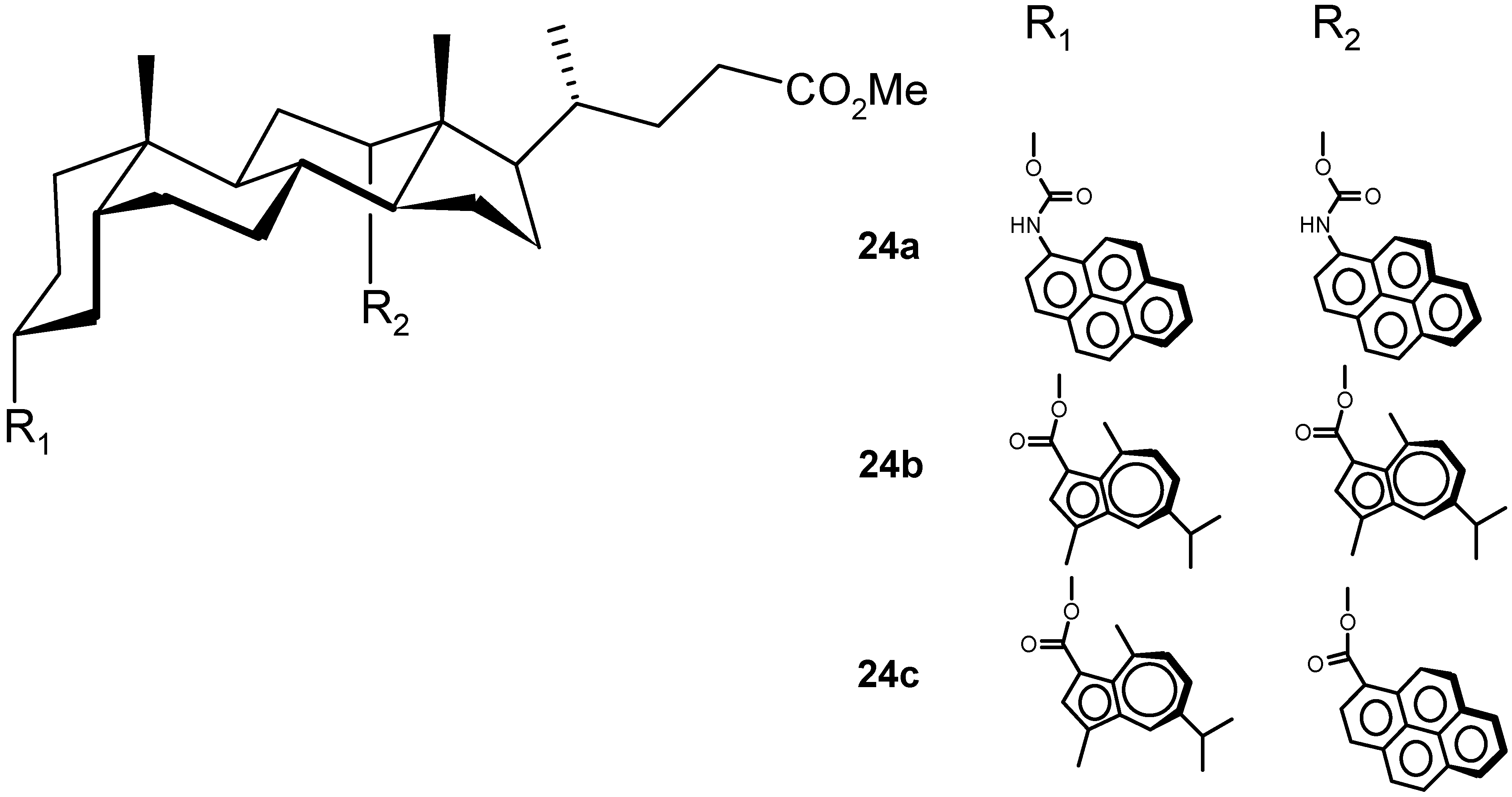 Molecules 06 00021 g013