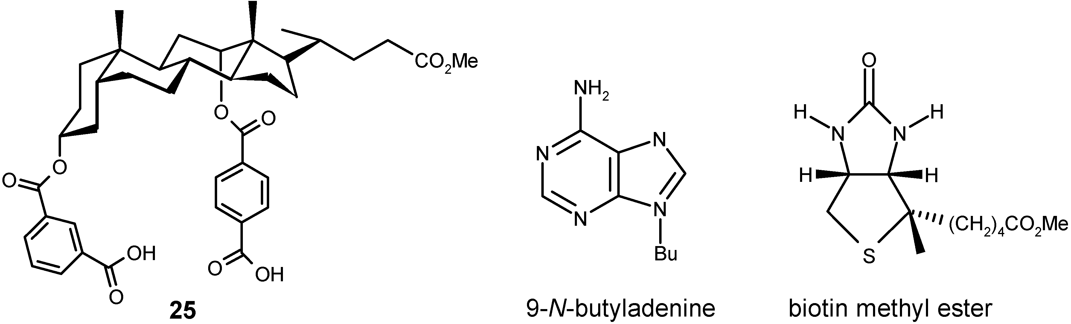 Molecules 06 00021 g014
