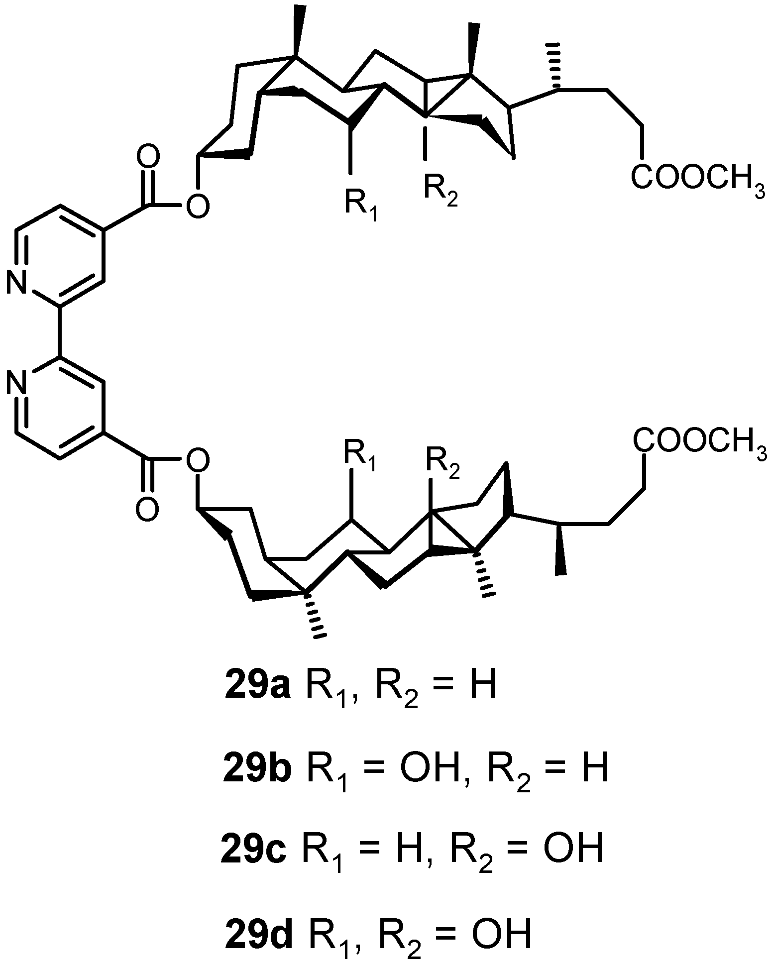Molecules 06 00021 g018