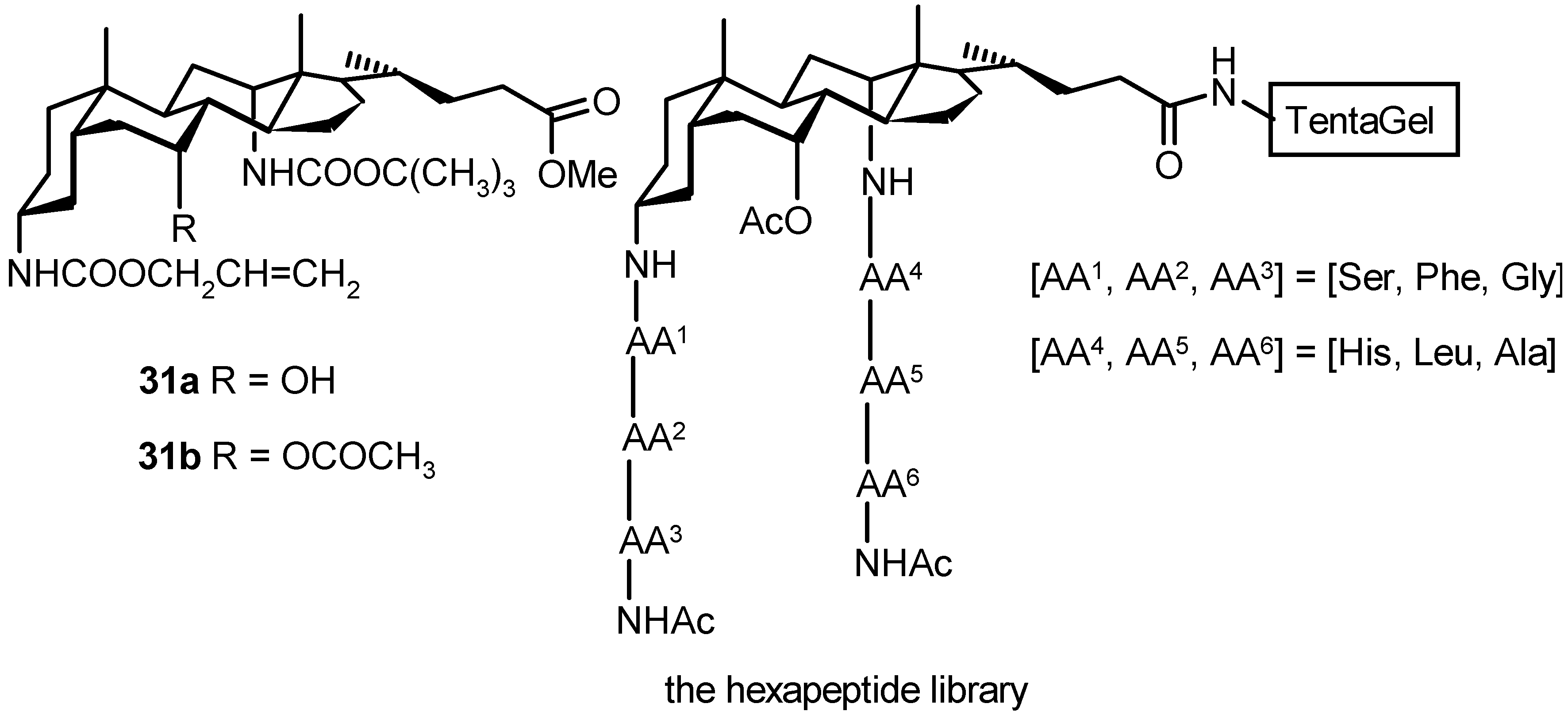 Molecules 06 00021 g020