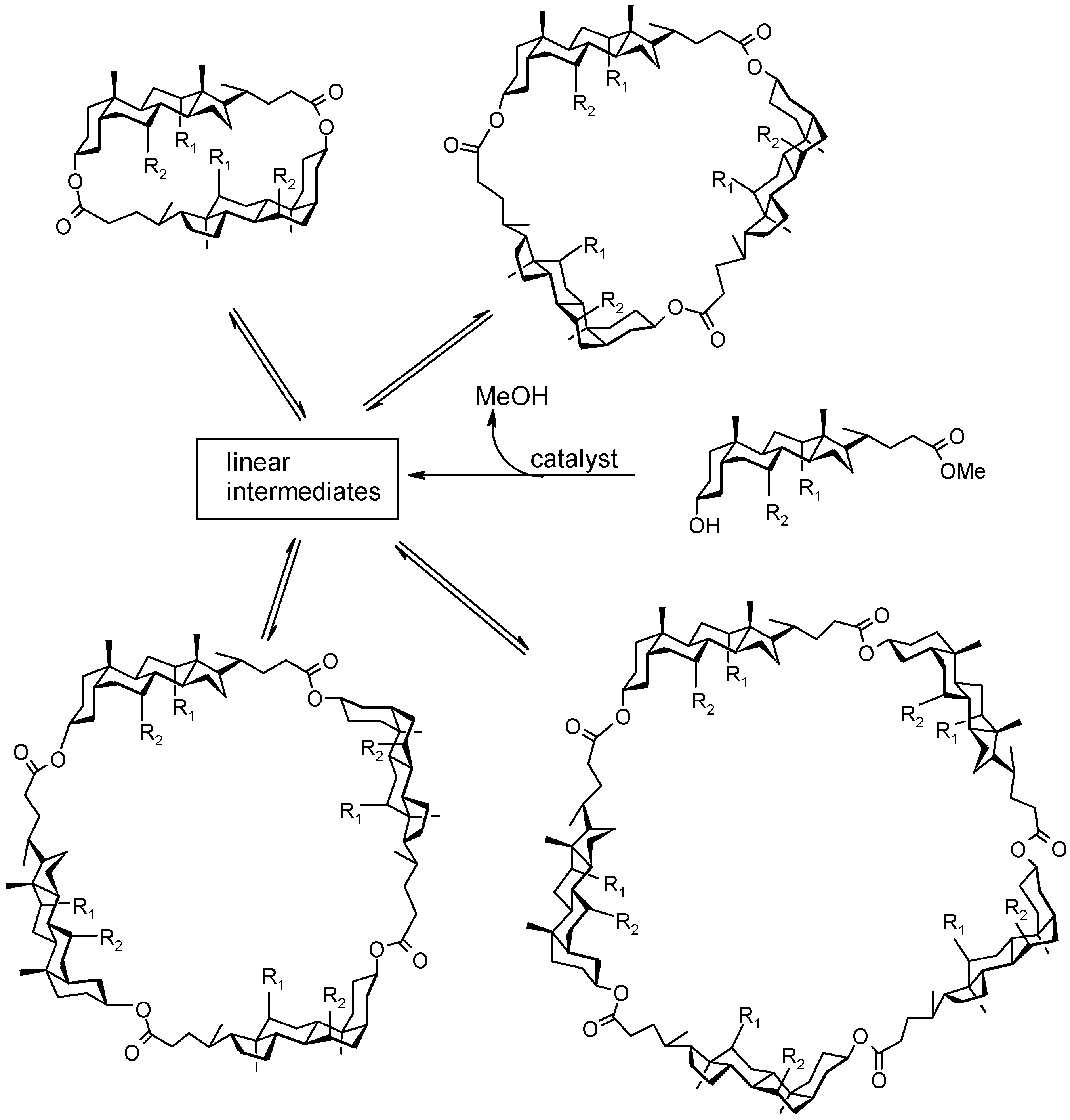 Molecules 06 00021 g022