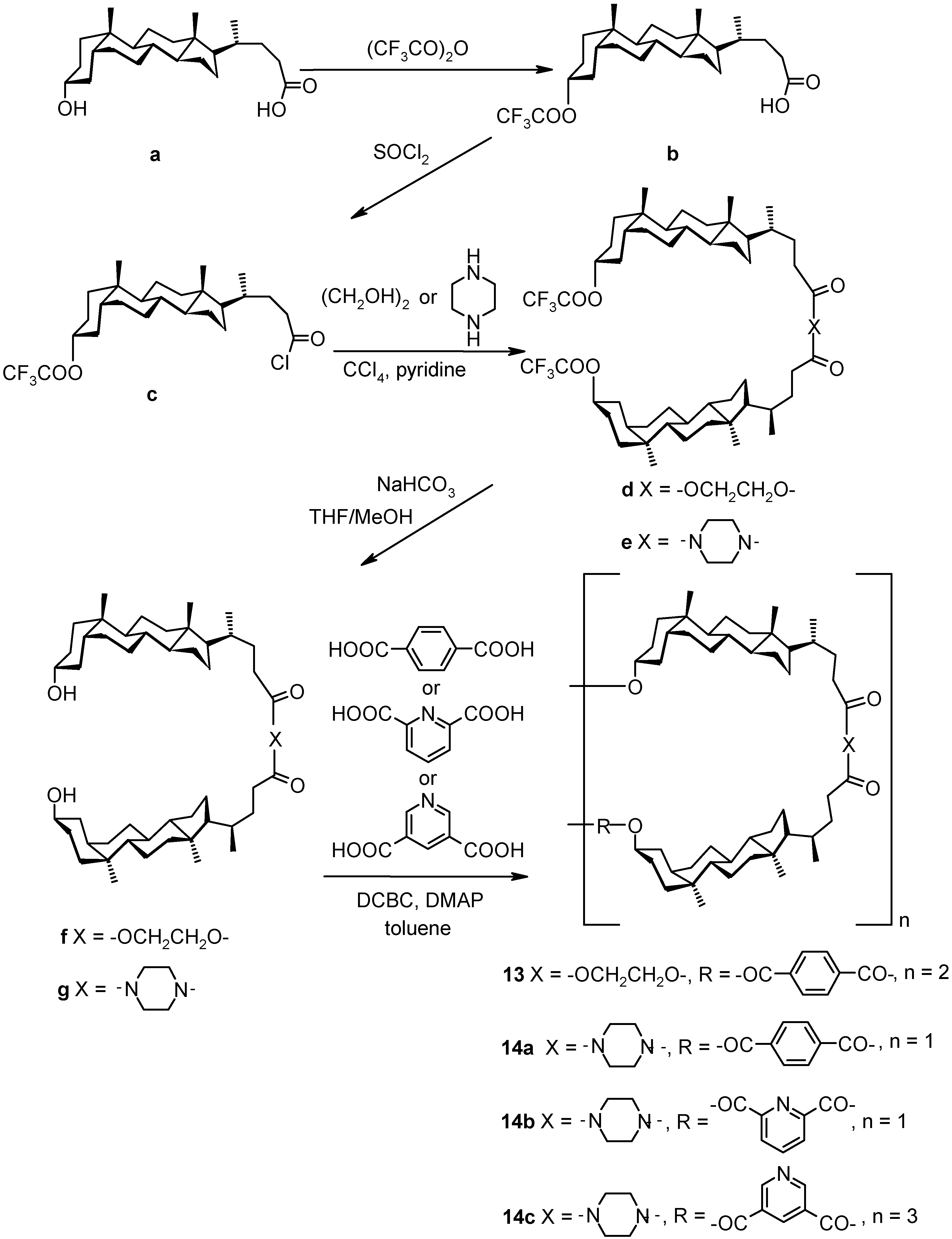 Molecules 06 00021 g024