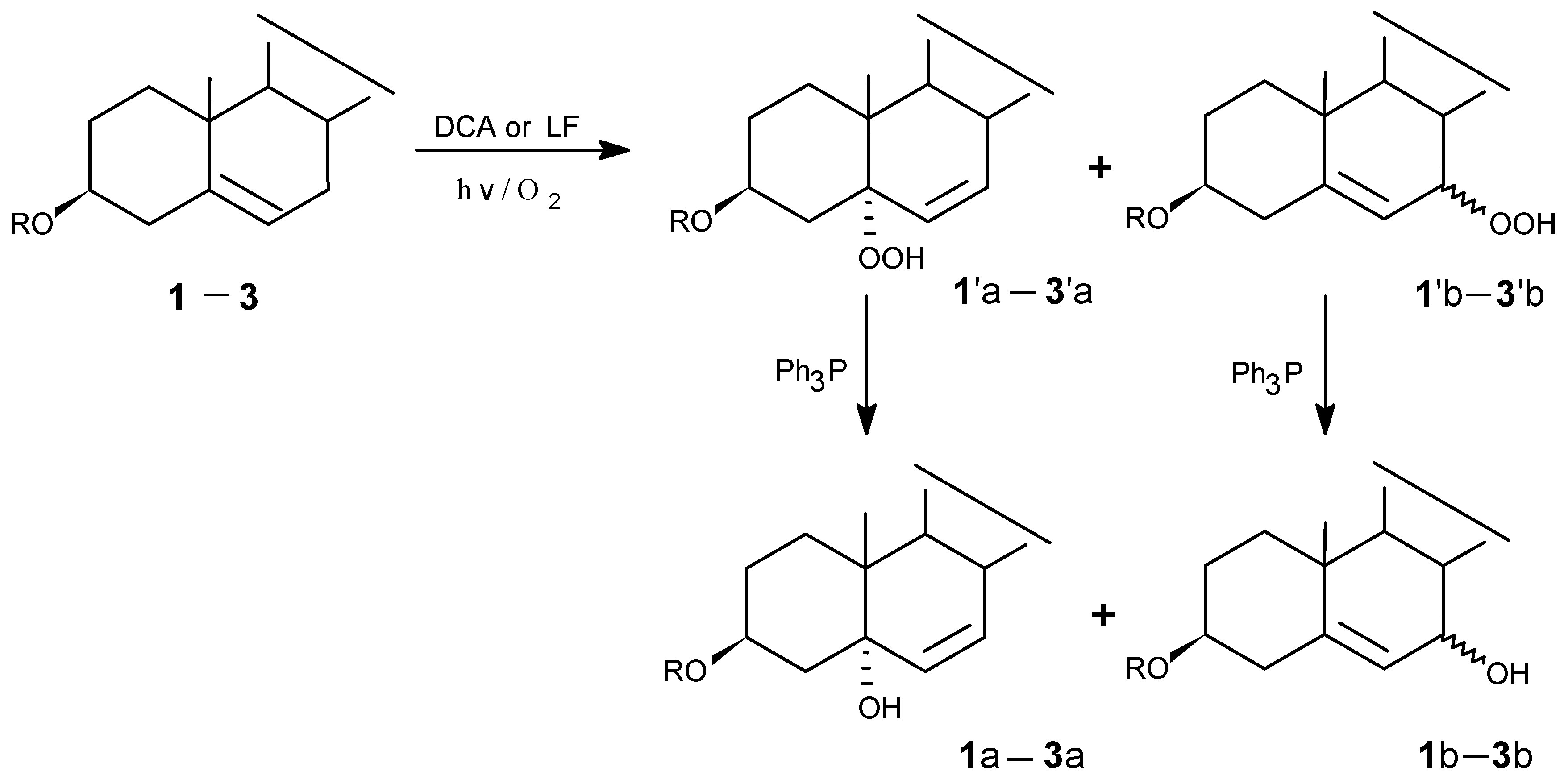 Molecules 06 00052 g001