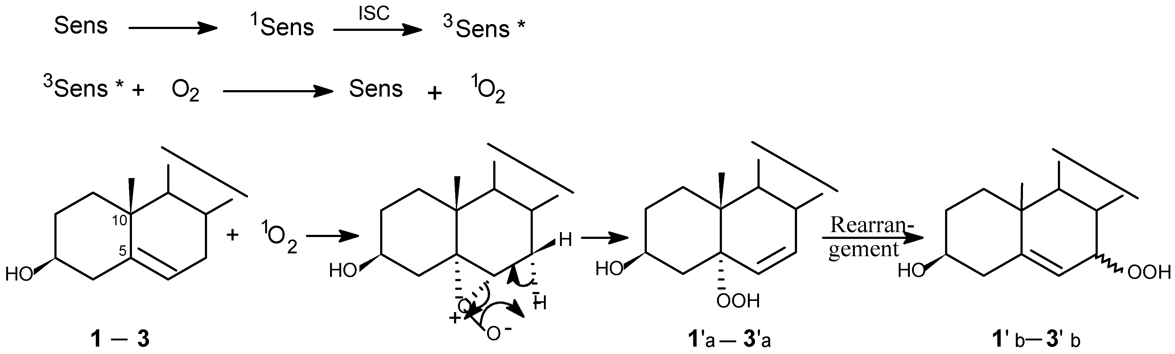 Molecules 06 00052 g002